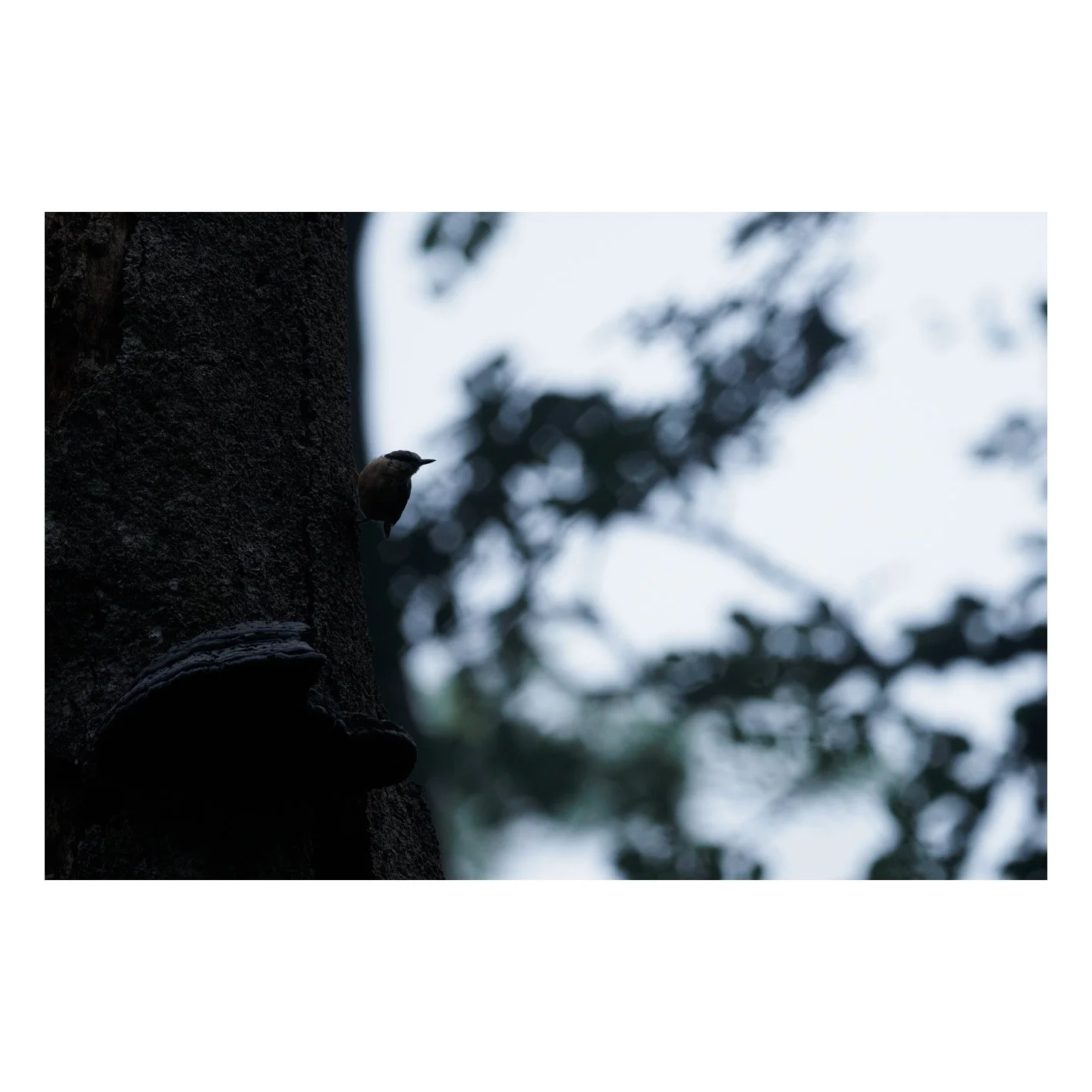 Test-29.jpg