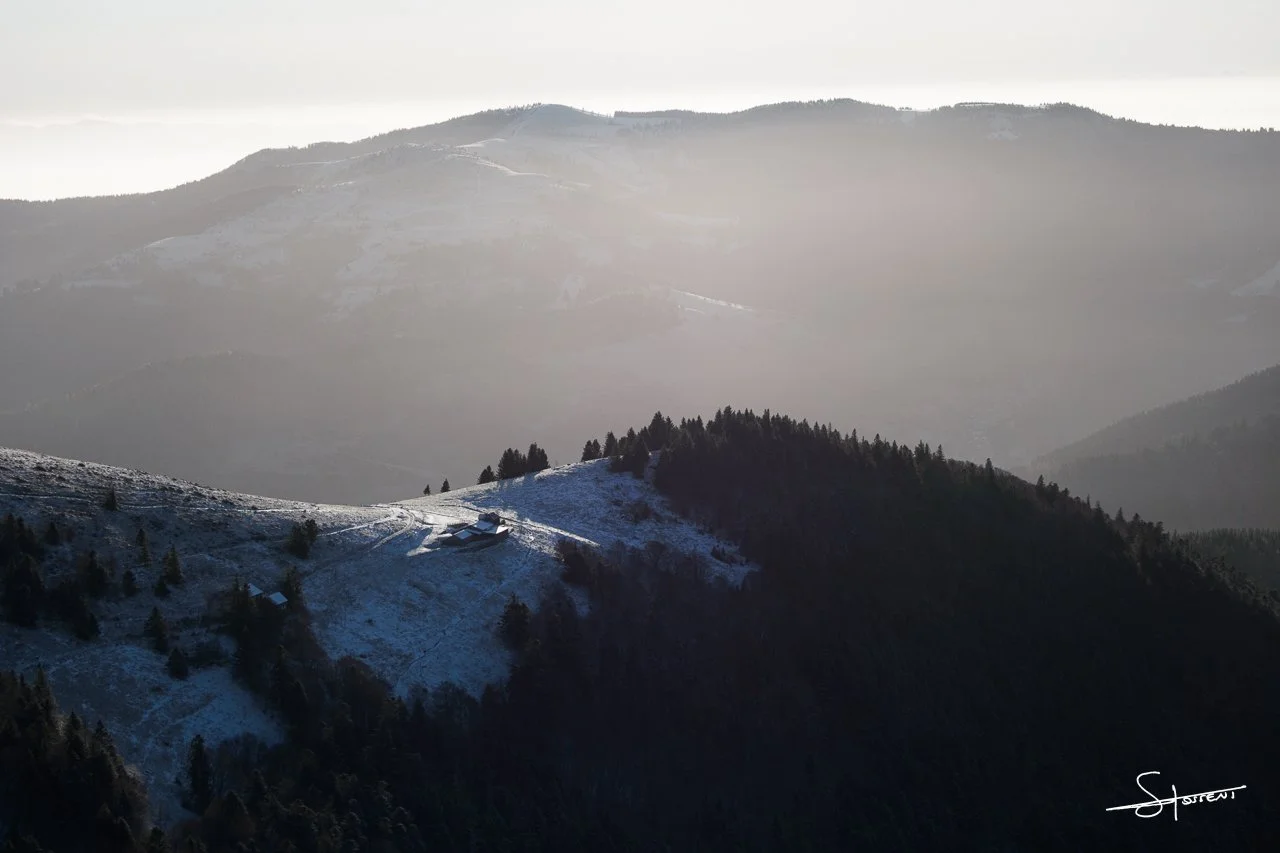 Vosges, France. #109