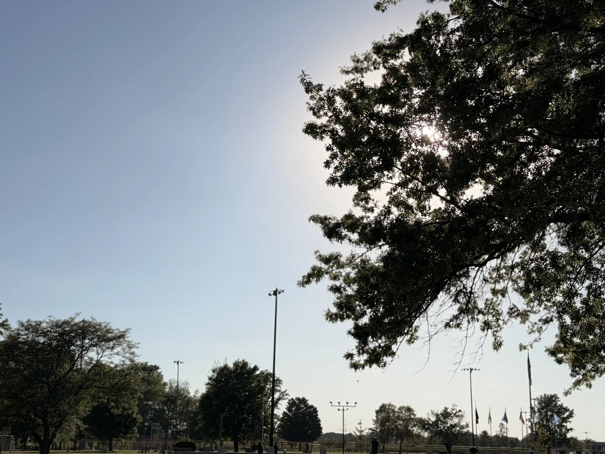 When Too Much Happens At Once