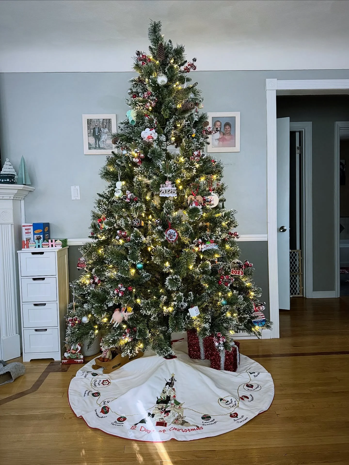 Finally&hellip; 🎄
.
.
.
.
.
#christmastree #christmasdecor #explorepage #christmastime #christmas