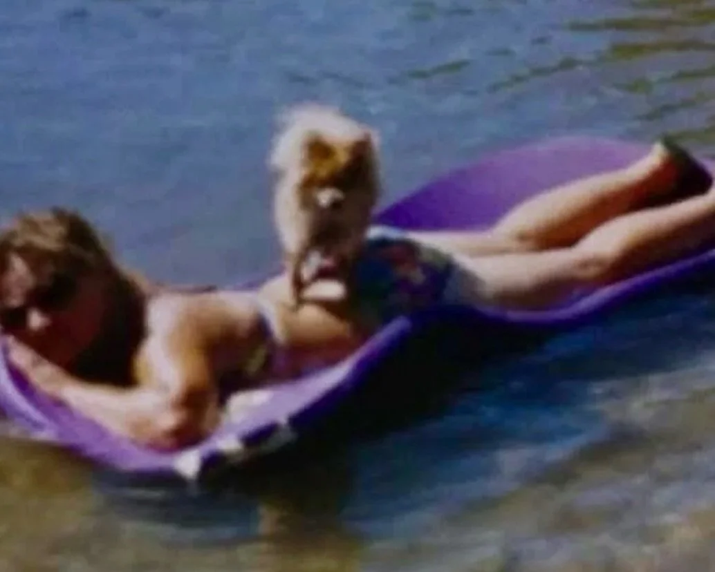 My love of dogs comes from my momma. 🐾 if she was still here, she would most definitely be trying to steal my babies 💜

#doglover #dogmomlife #pomeranian #parentloss #griefjourney