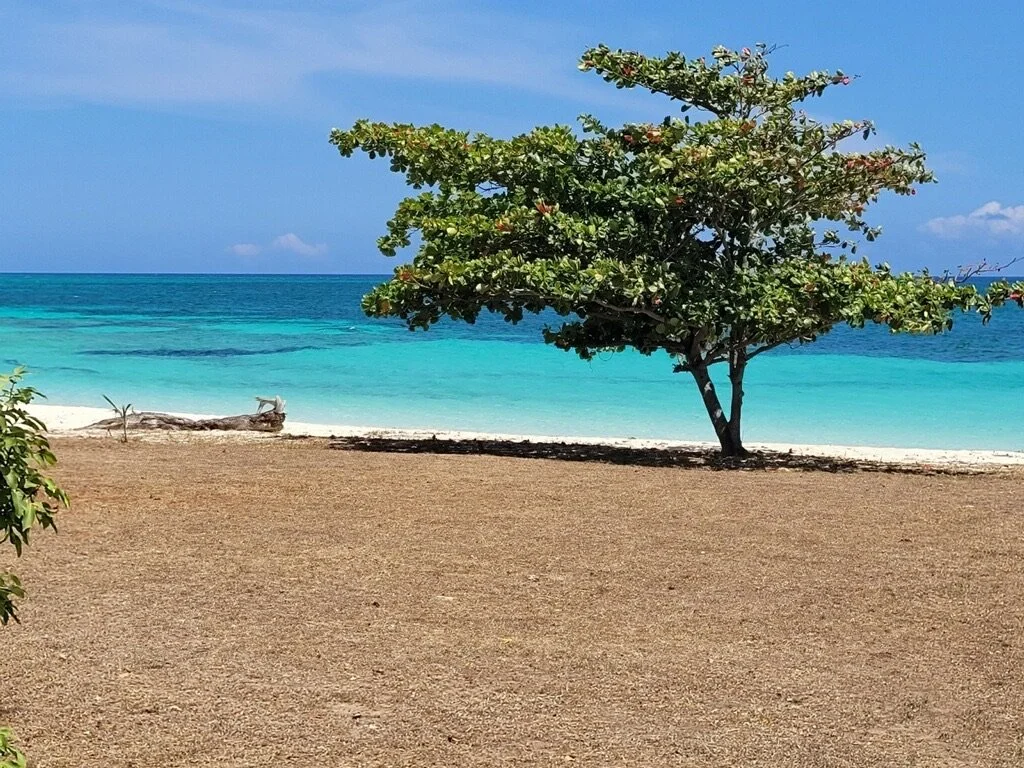 Jamaica Retreat 2026