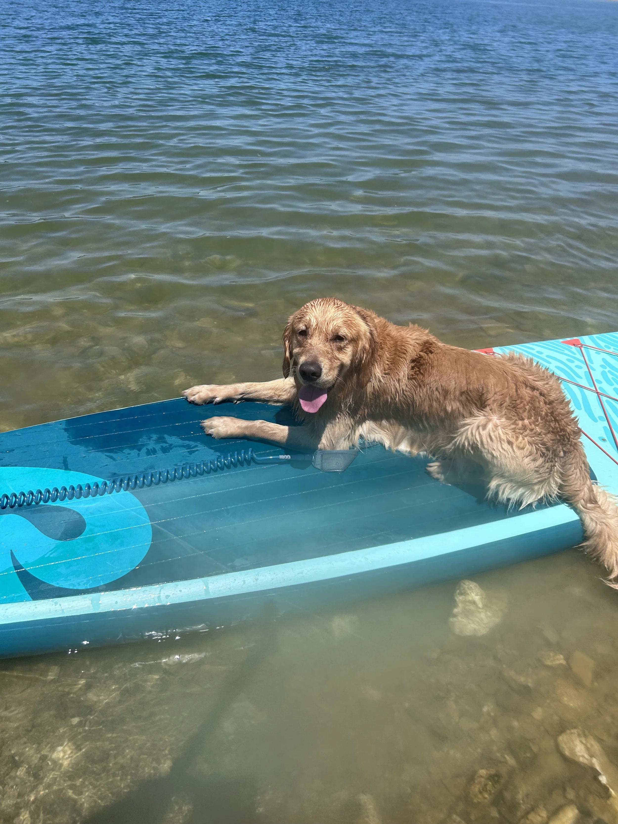 Paddle, stretch and sound