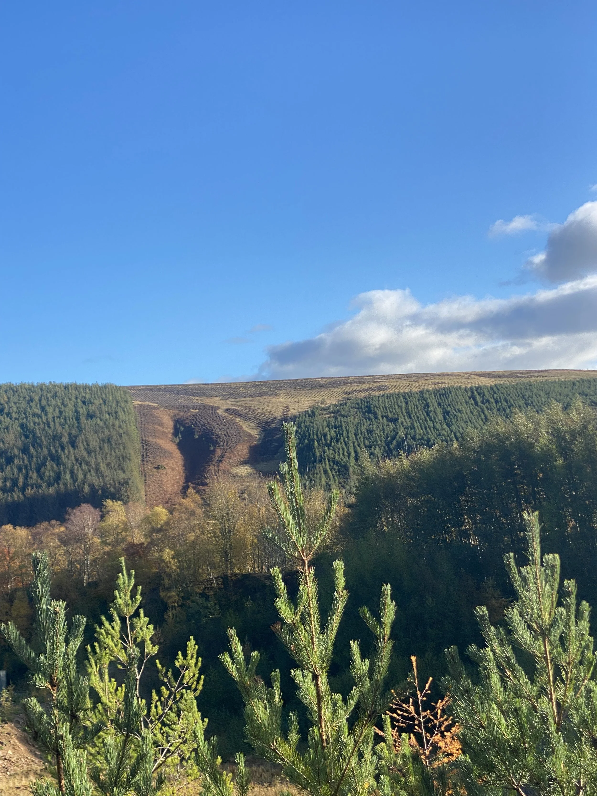 BRYLACH TOP GLEN VIEW.JPEG