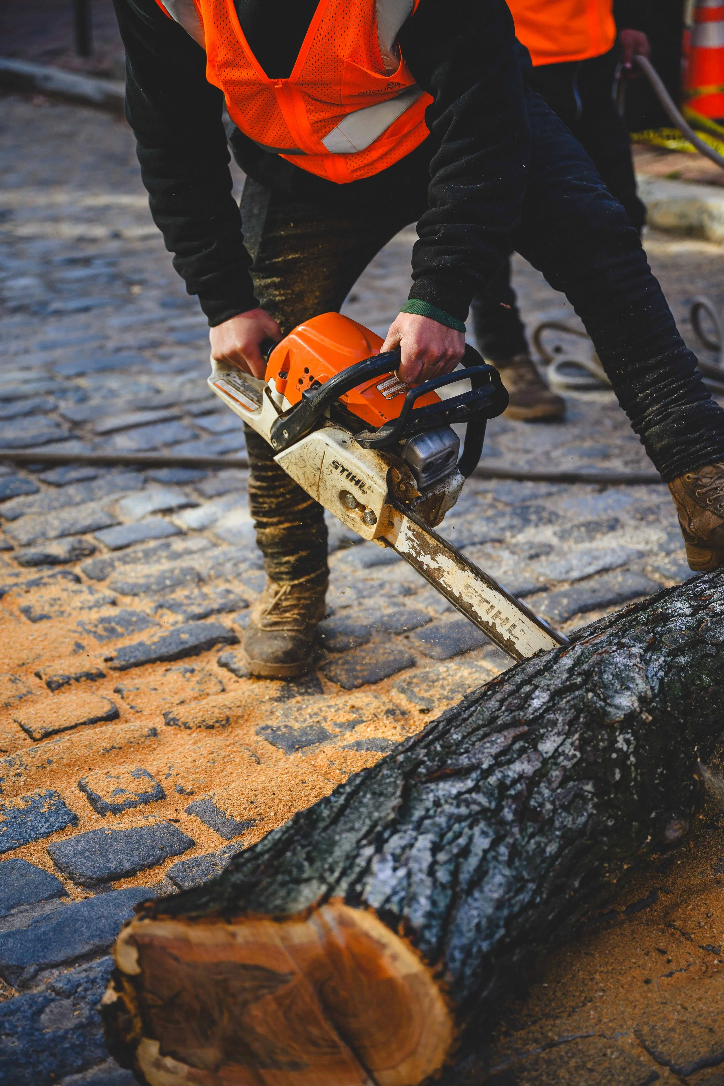 Ground Three Philadelphia Tree Cutting-52.jpg