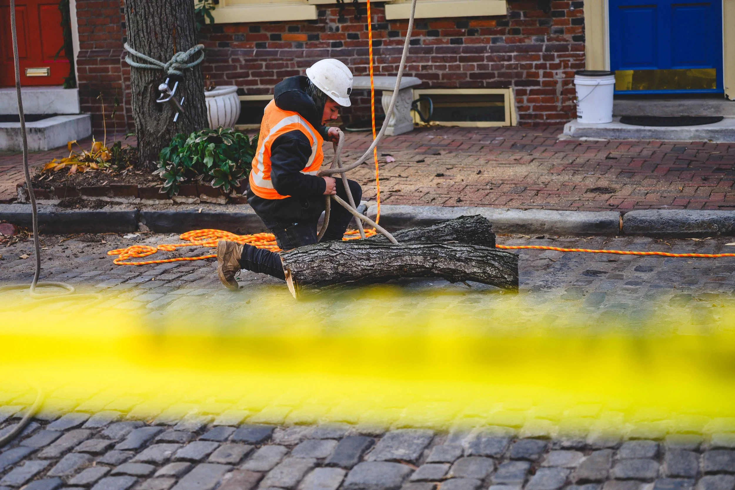 Ground Three Philadelphia Tree Cutting-24.jpg