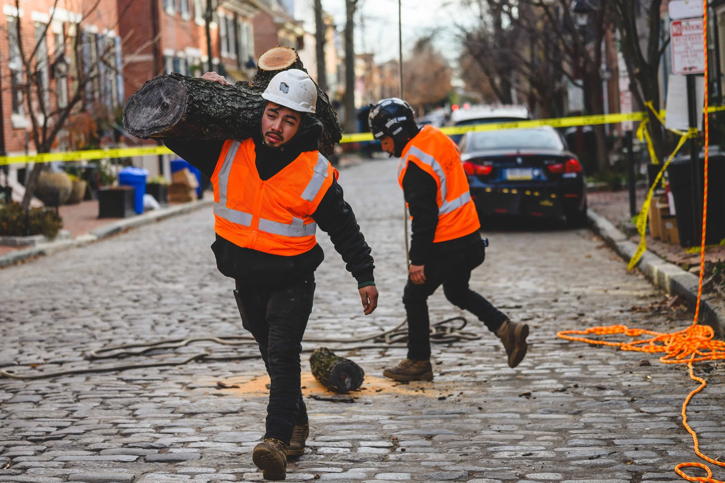 Ground Three Philadelphia Tree Cutting-25.jpg