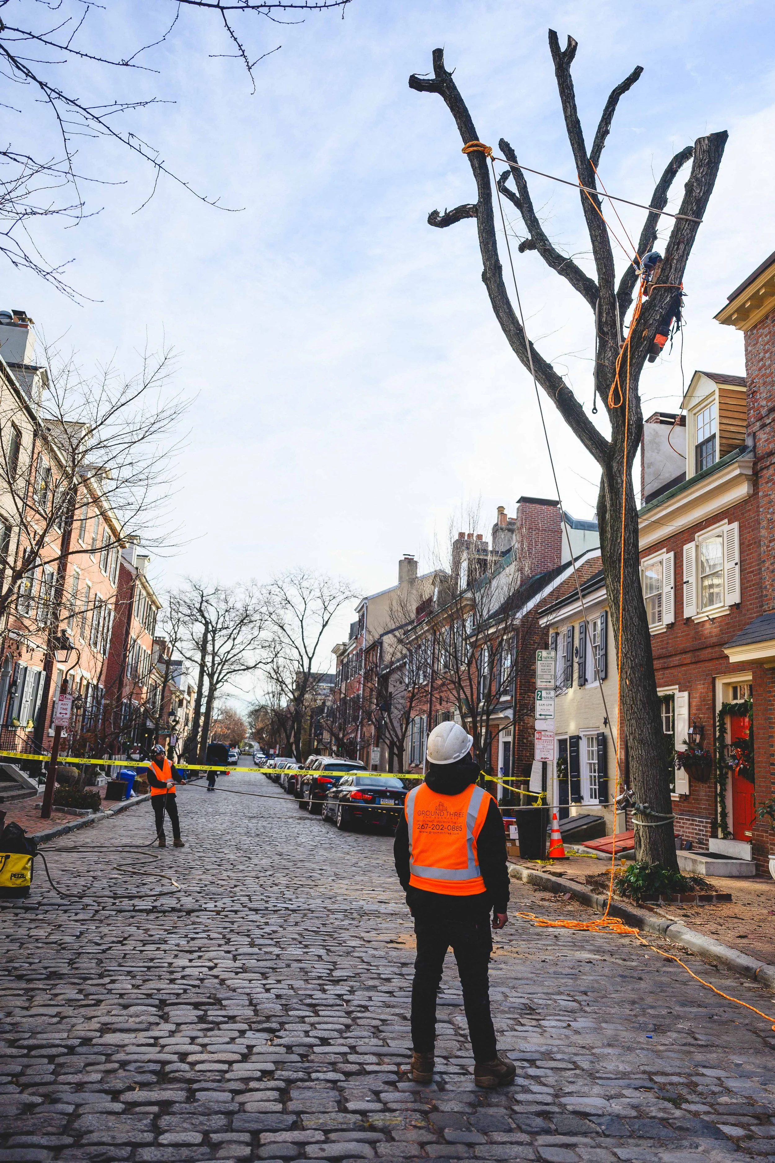 Ground Three Philadelphia Tree Cutting-43.jpg