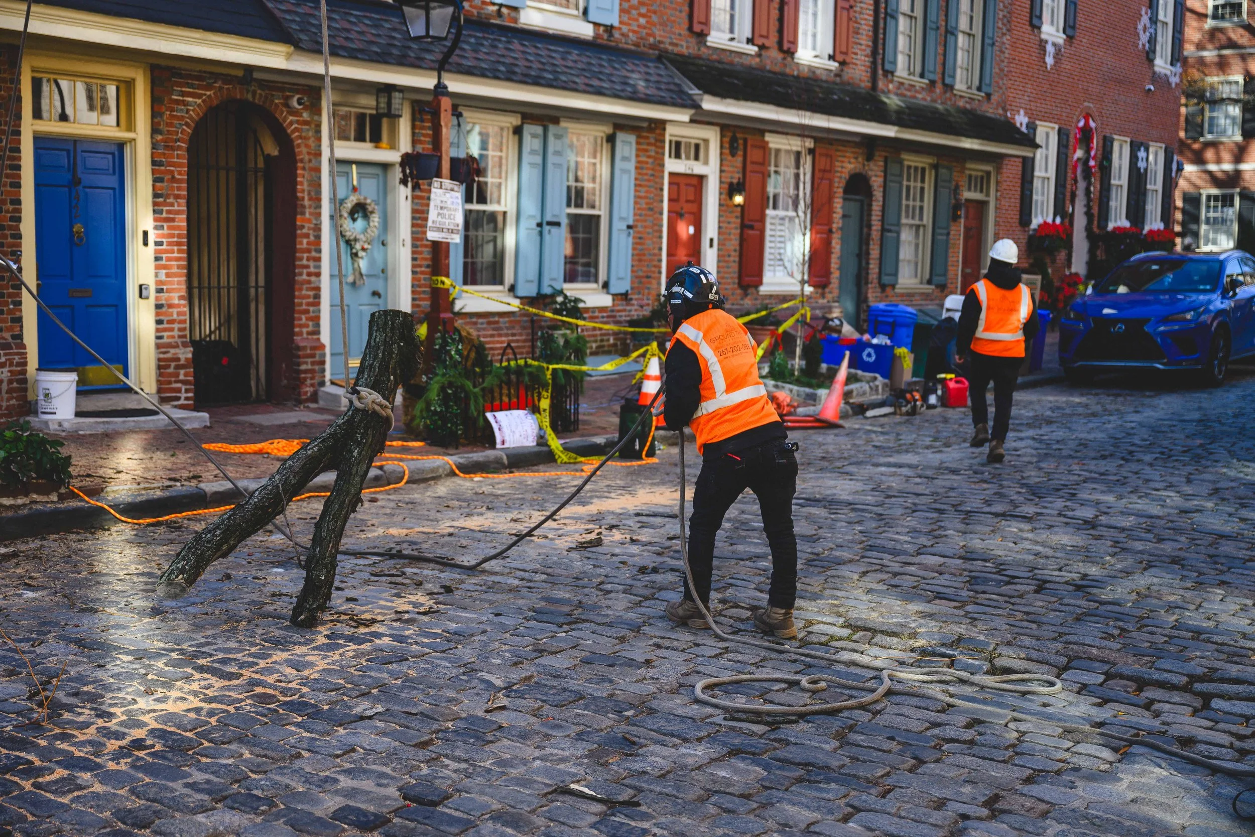 Ground Three Philadelphia Tree Cutting-96.jpg