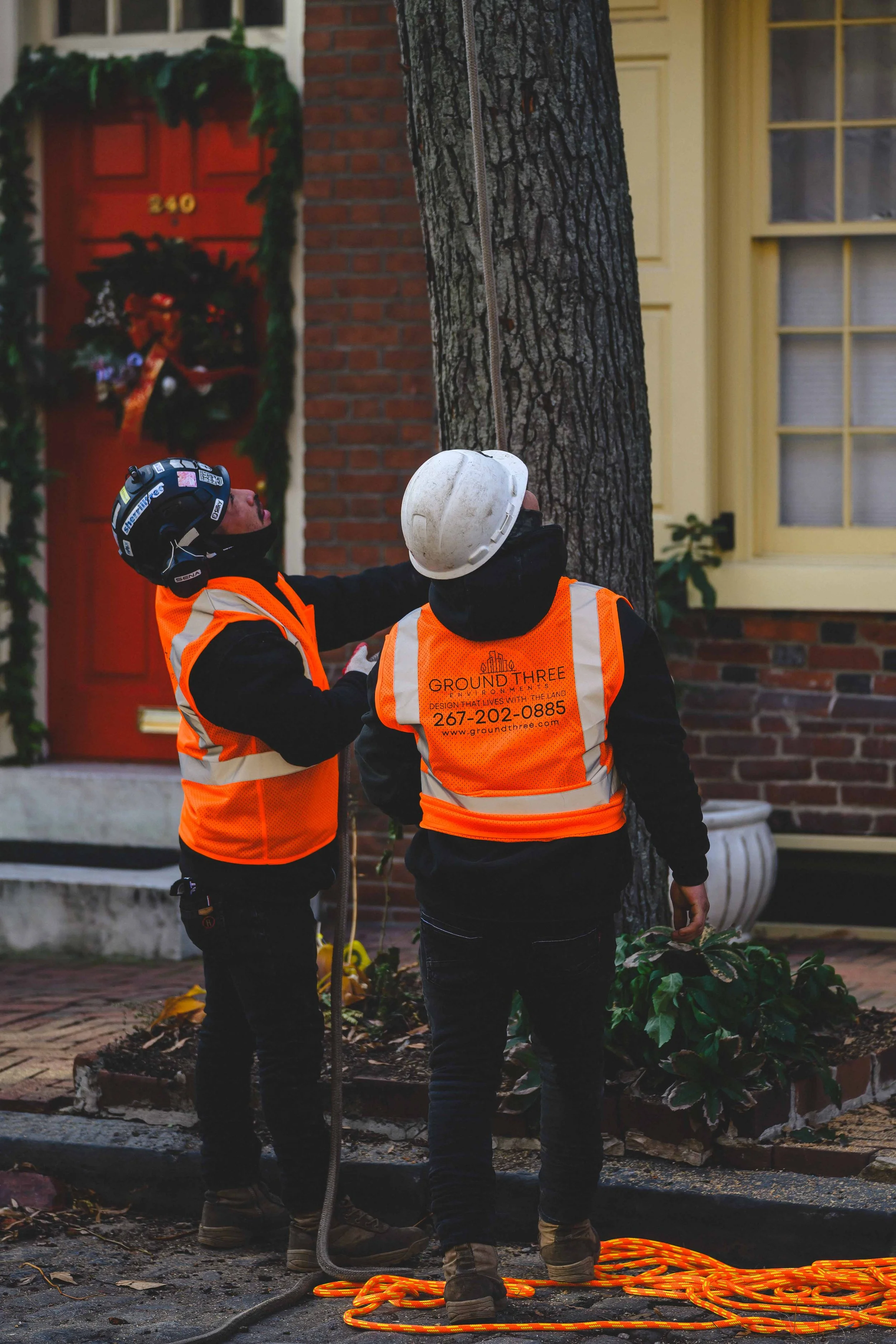 Ground Three Philadelphia Tree Cutting-21.jpg