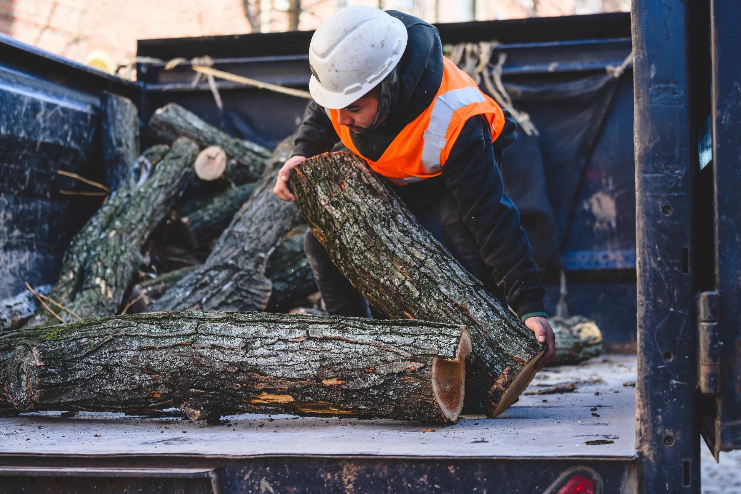 Ground Three Philadelphia Tree Cutting-107.jpg