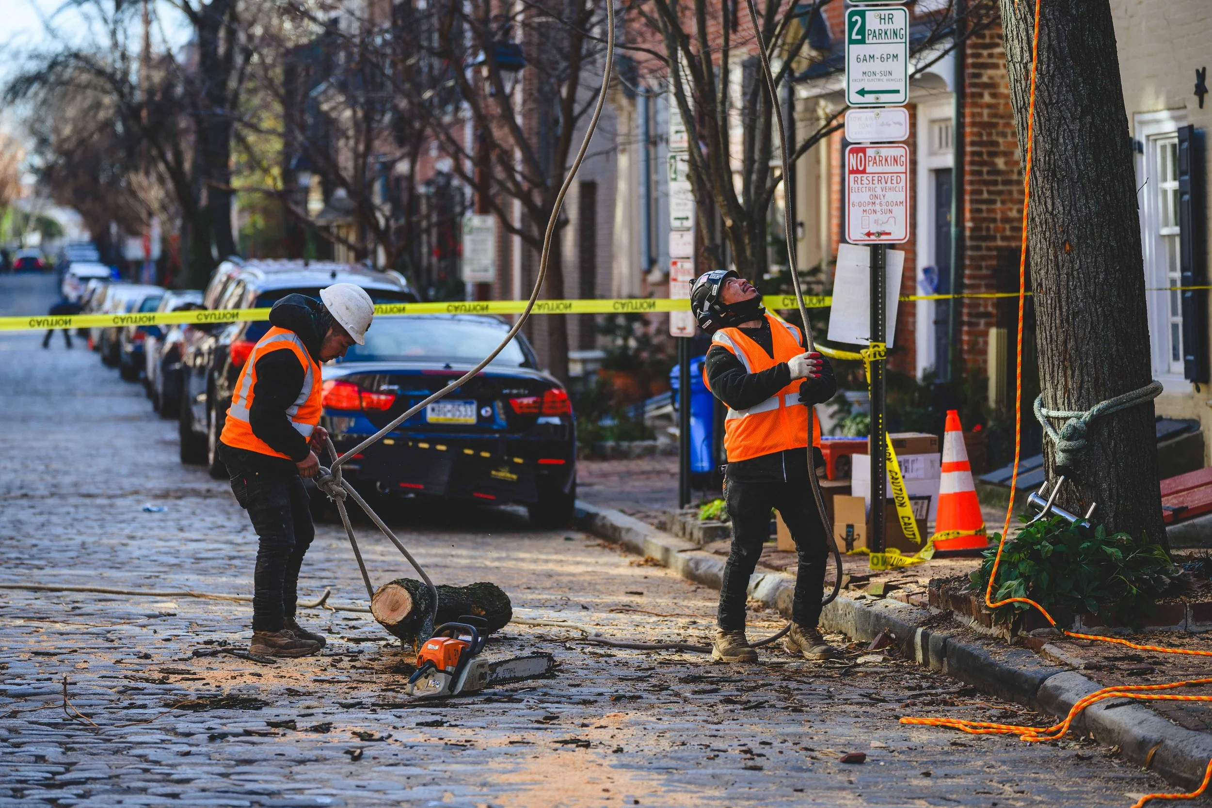 Ground Three Philadelphia Tree Cutting-100.jpg