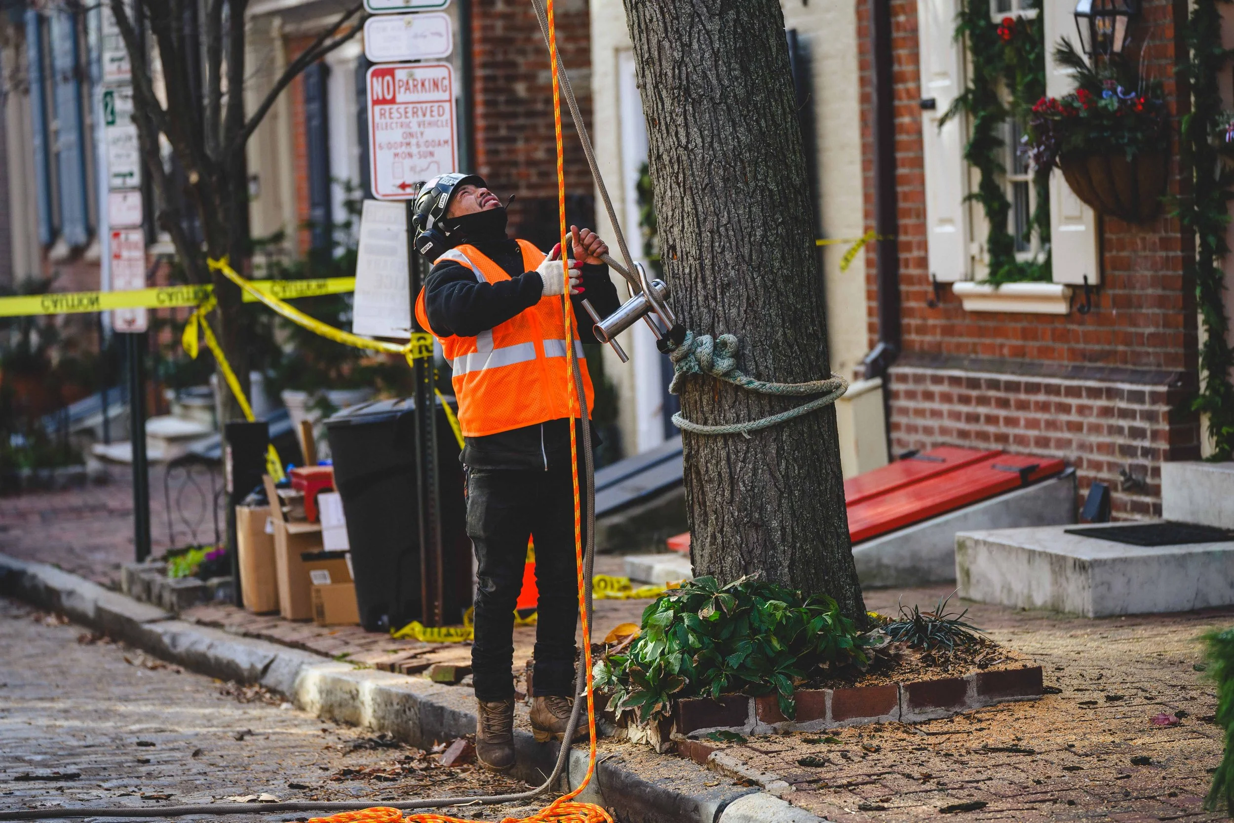 Ground Three Philadelphia Tree Cutting-34.jpg