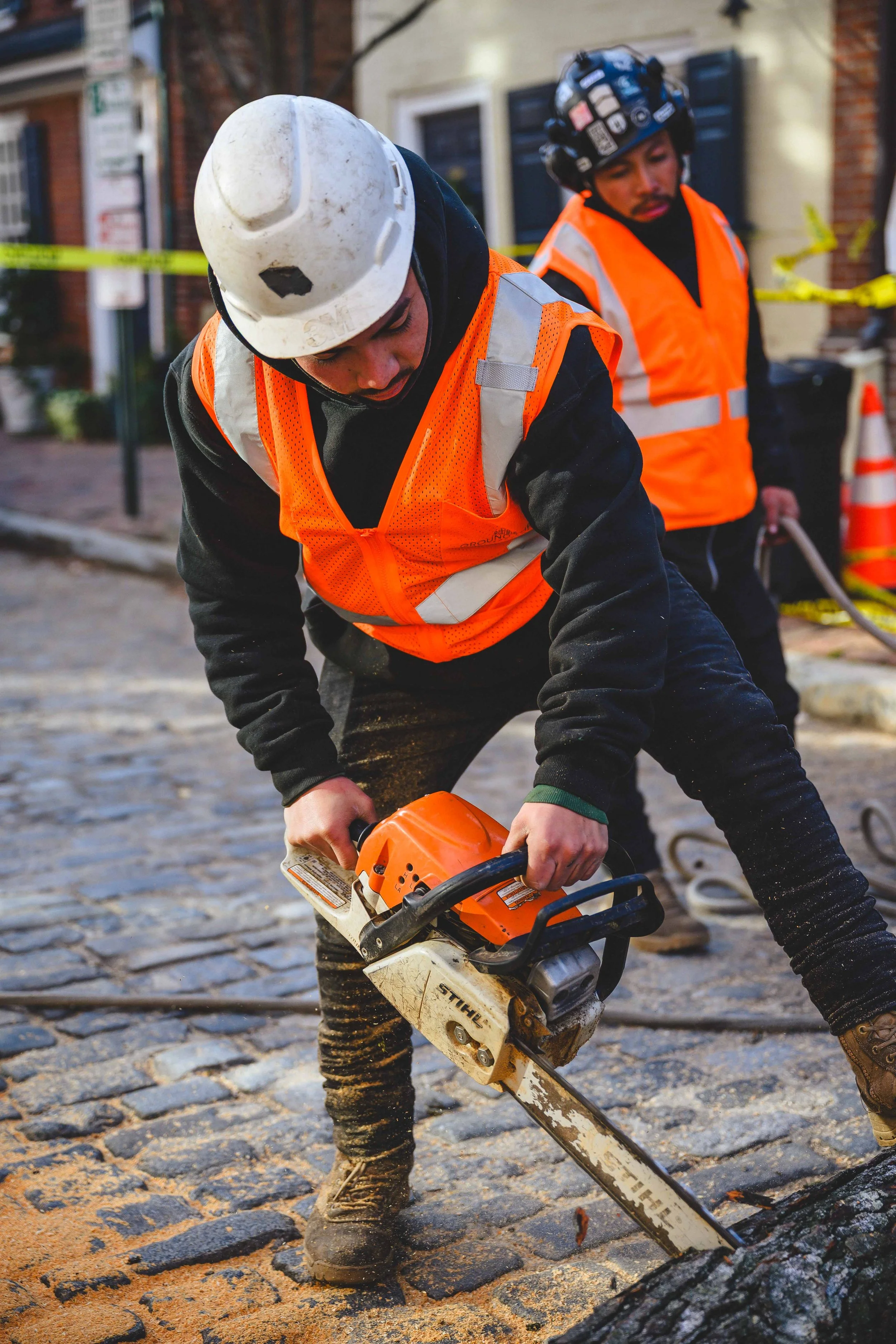 Ground Three Philadelphia Tree Cutting-53.jpg
