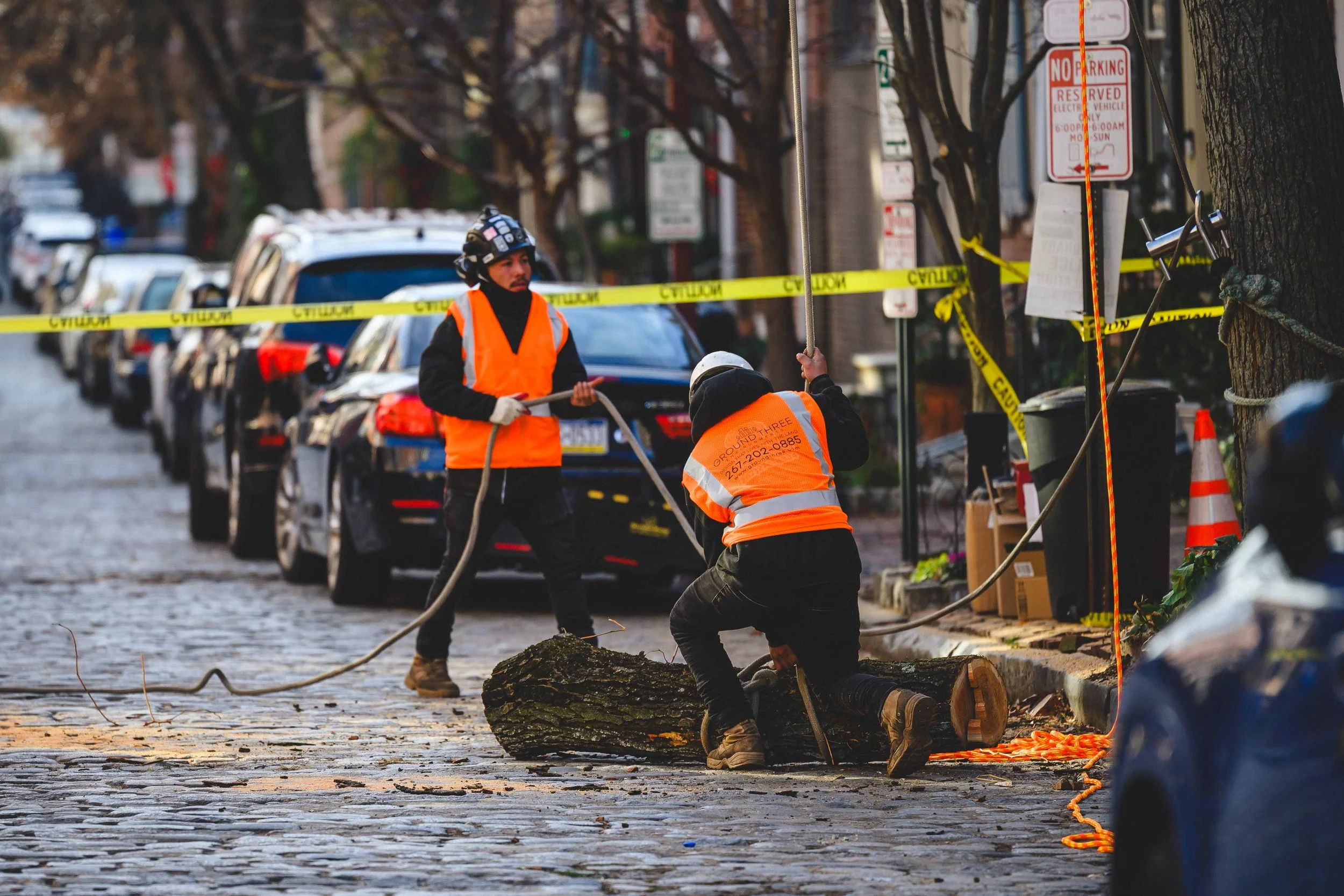 Ground Three Philadelphia Tree Cutting-57.jpg