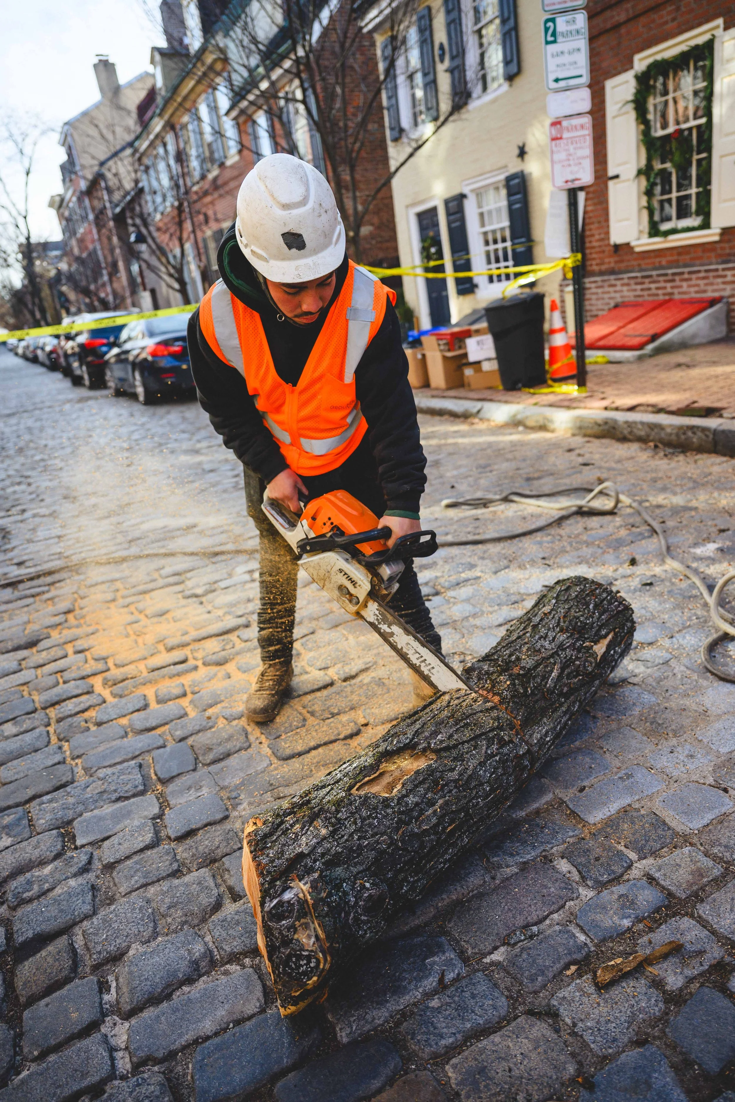 Ground Three Philadelphia Tree Cutting-49.jpg