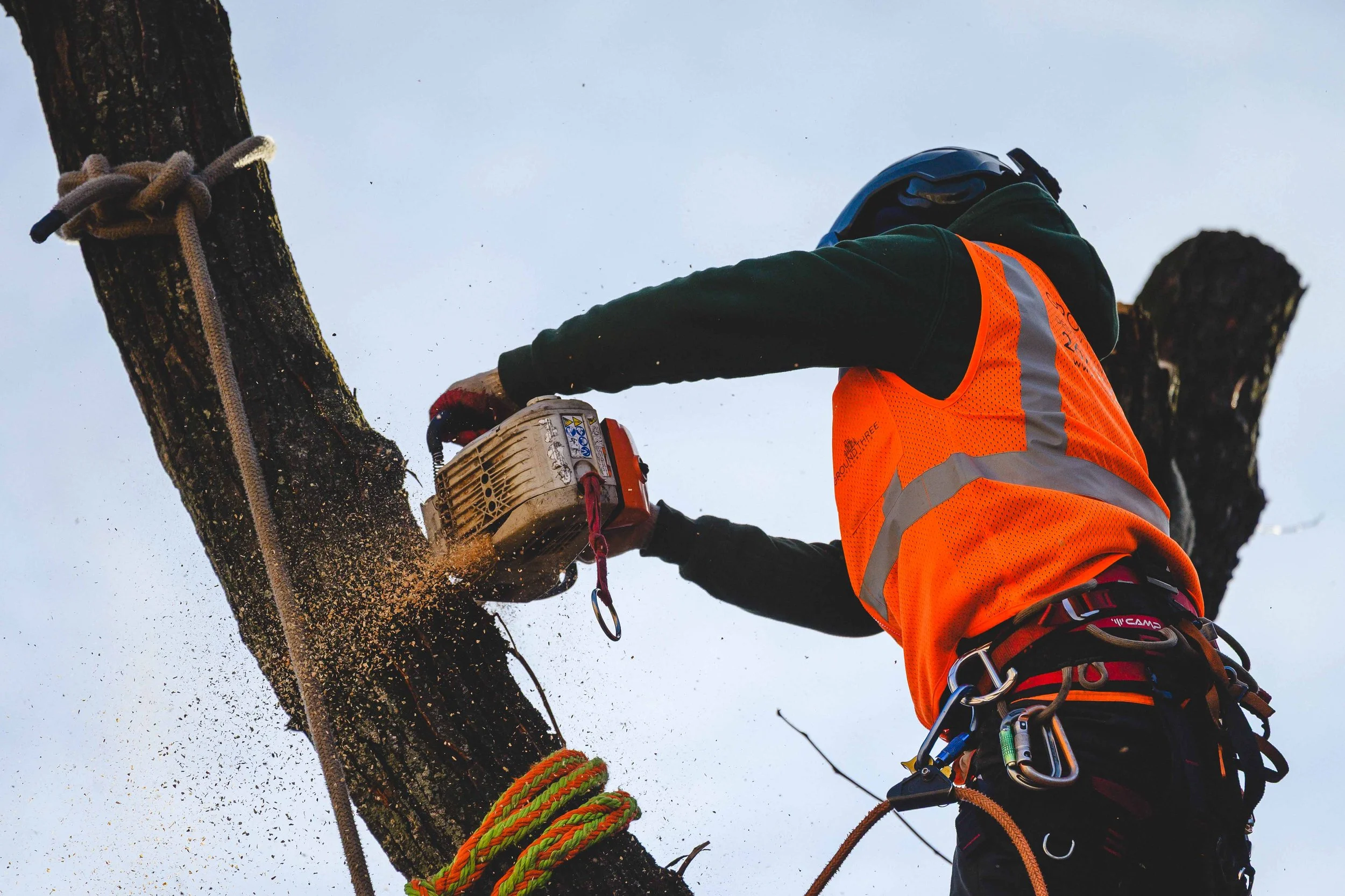 Ground Three Philadelphia Tree Cutting-105.jpg