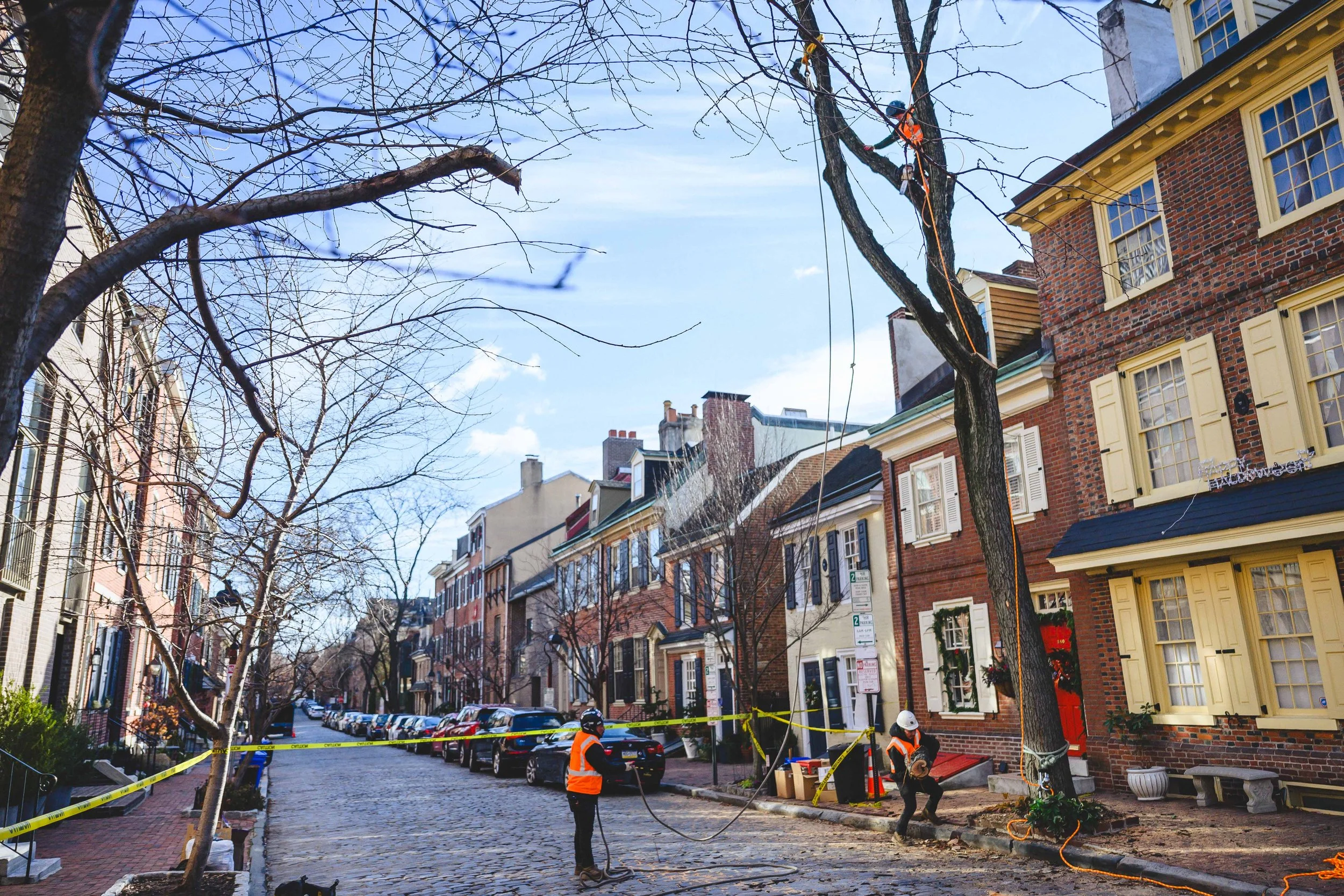 Ground Three Philadelphia Tree Cutting-88.jpg