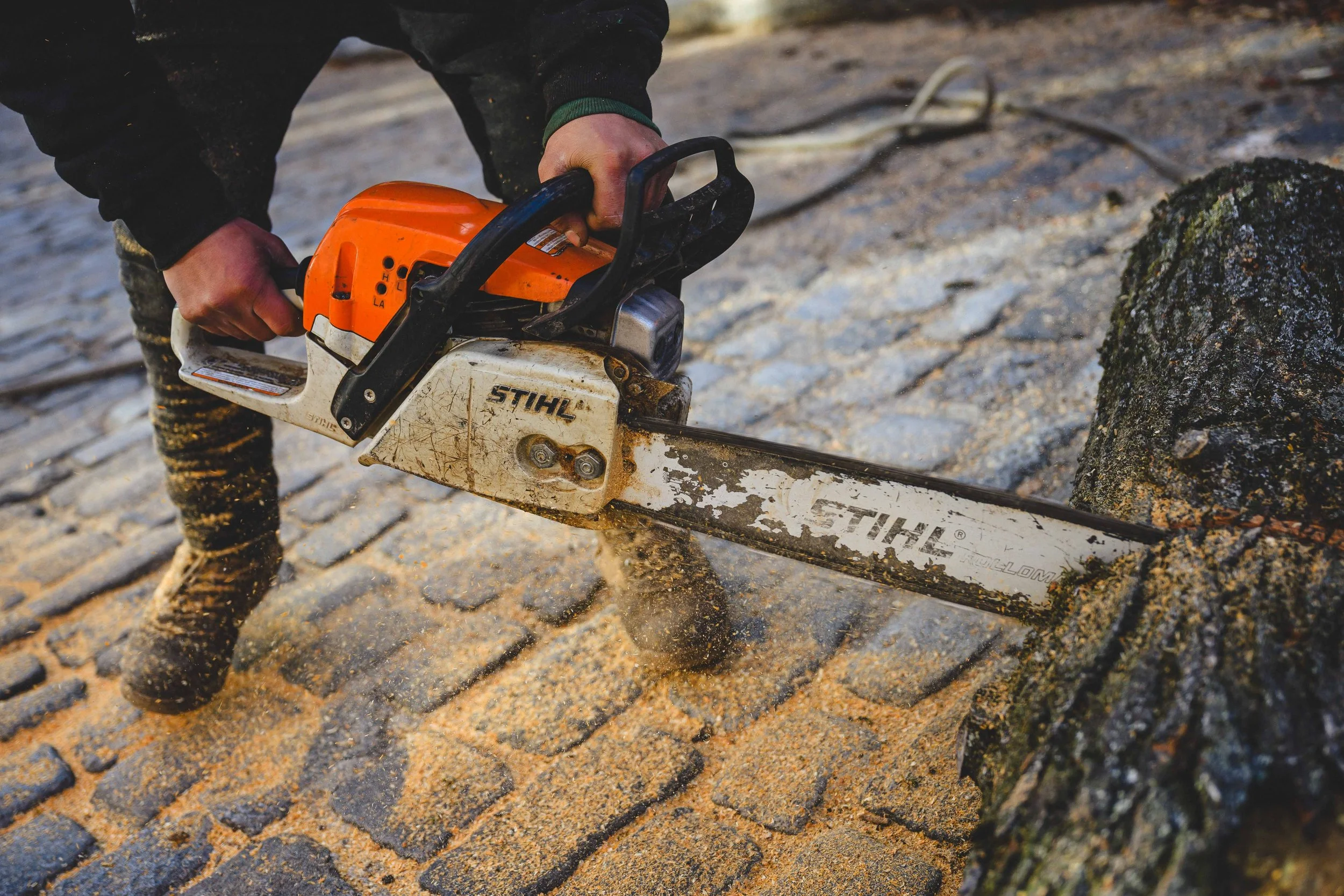 Ground Three Philadelphia Tree Cutting-50.jpg