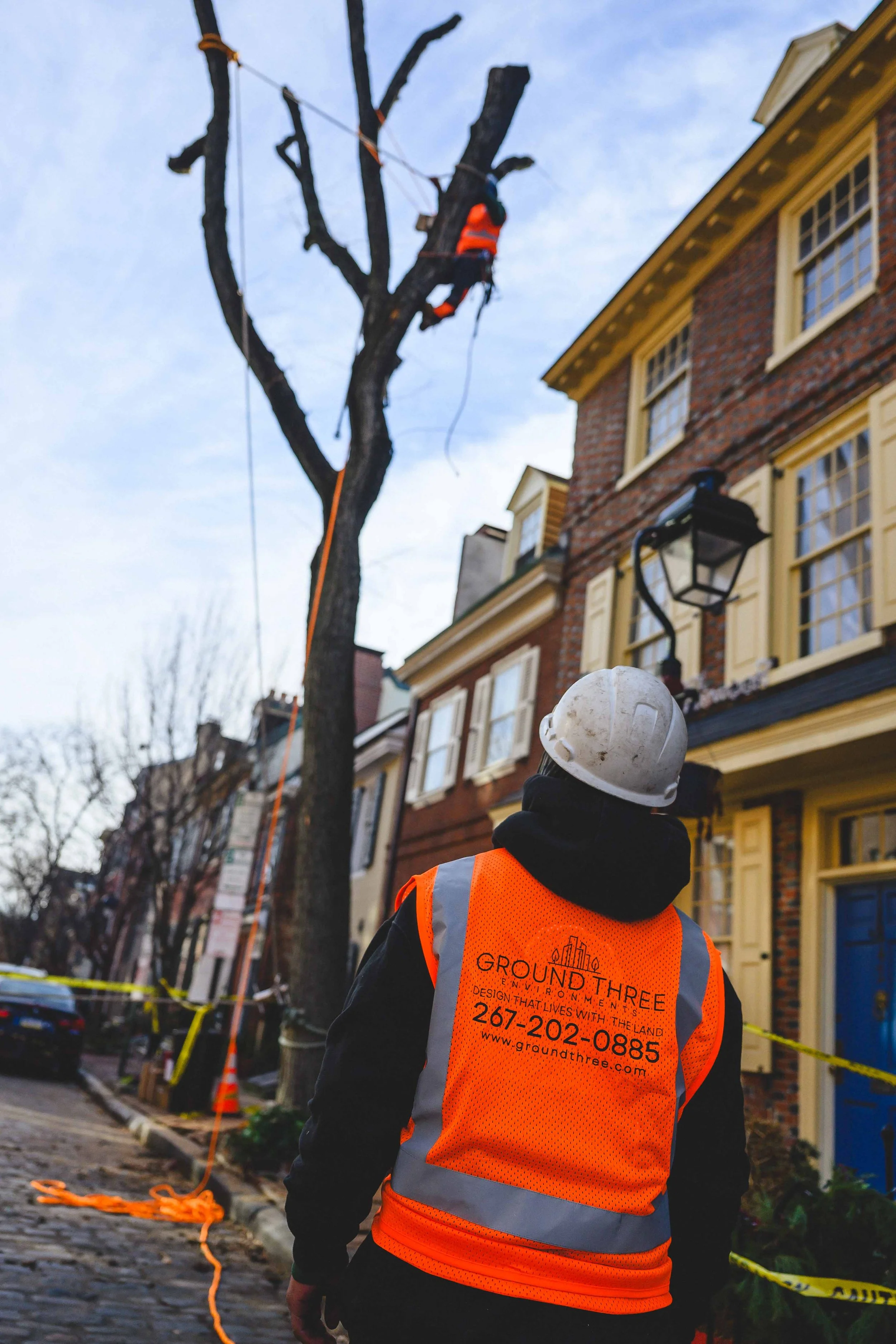 Ground Three Philadelphia Tree Cutting-46.jpg