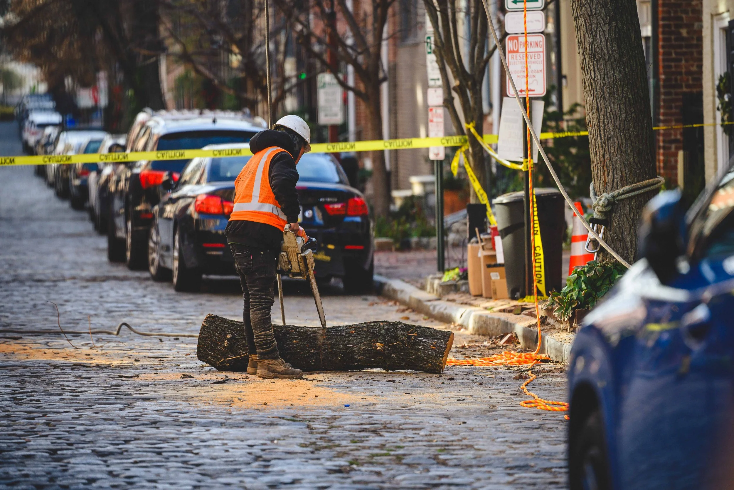 Ground Three Philadelphia Tree Cutting-62.jpg