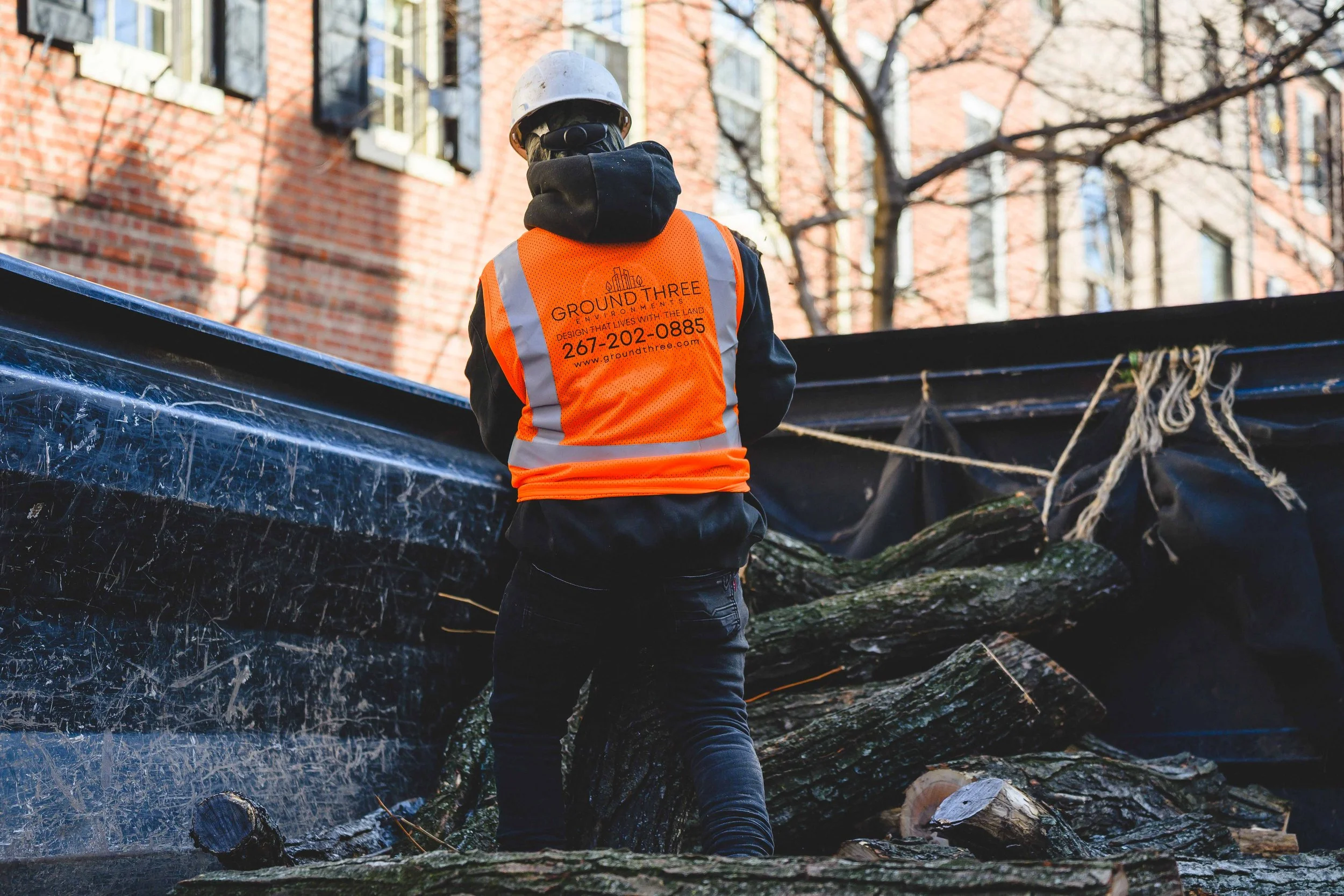 Ground Three Philadelphia Tree Cutting-106.jpg