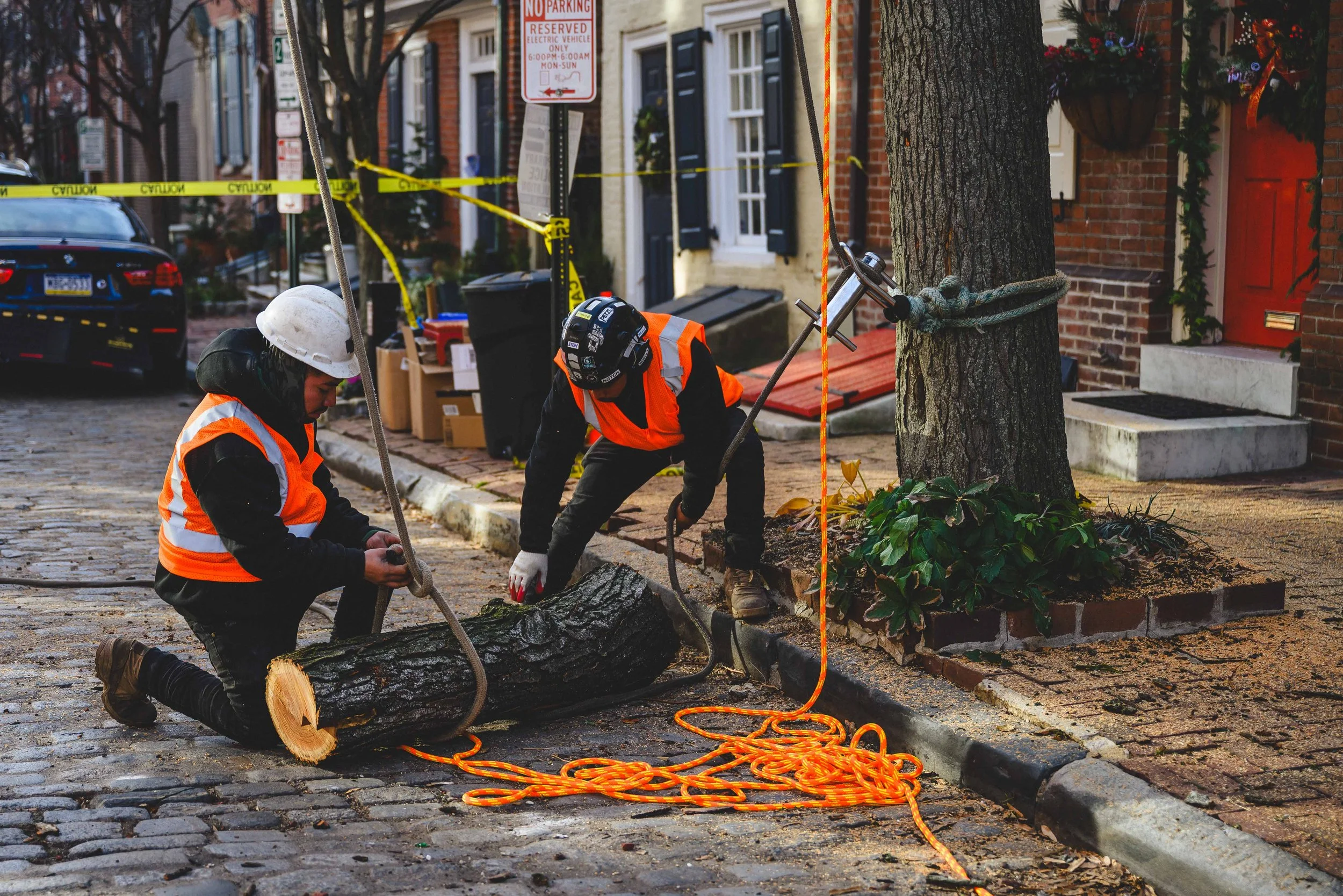 Ground Three Philadelphia Tree Cutting-47.jpg