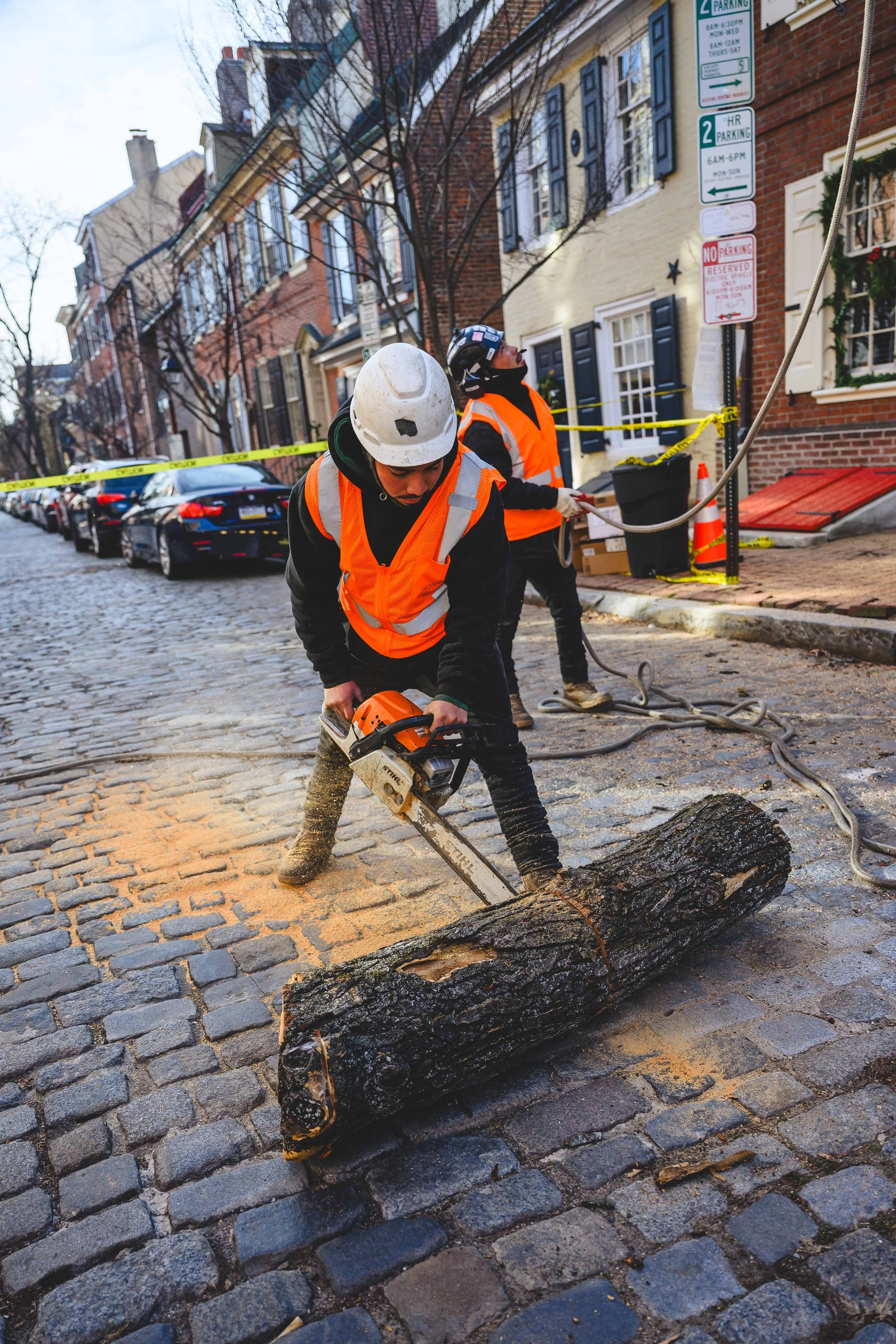 Ground Three Philadelphia Tree Cutting-51.jpg