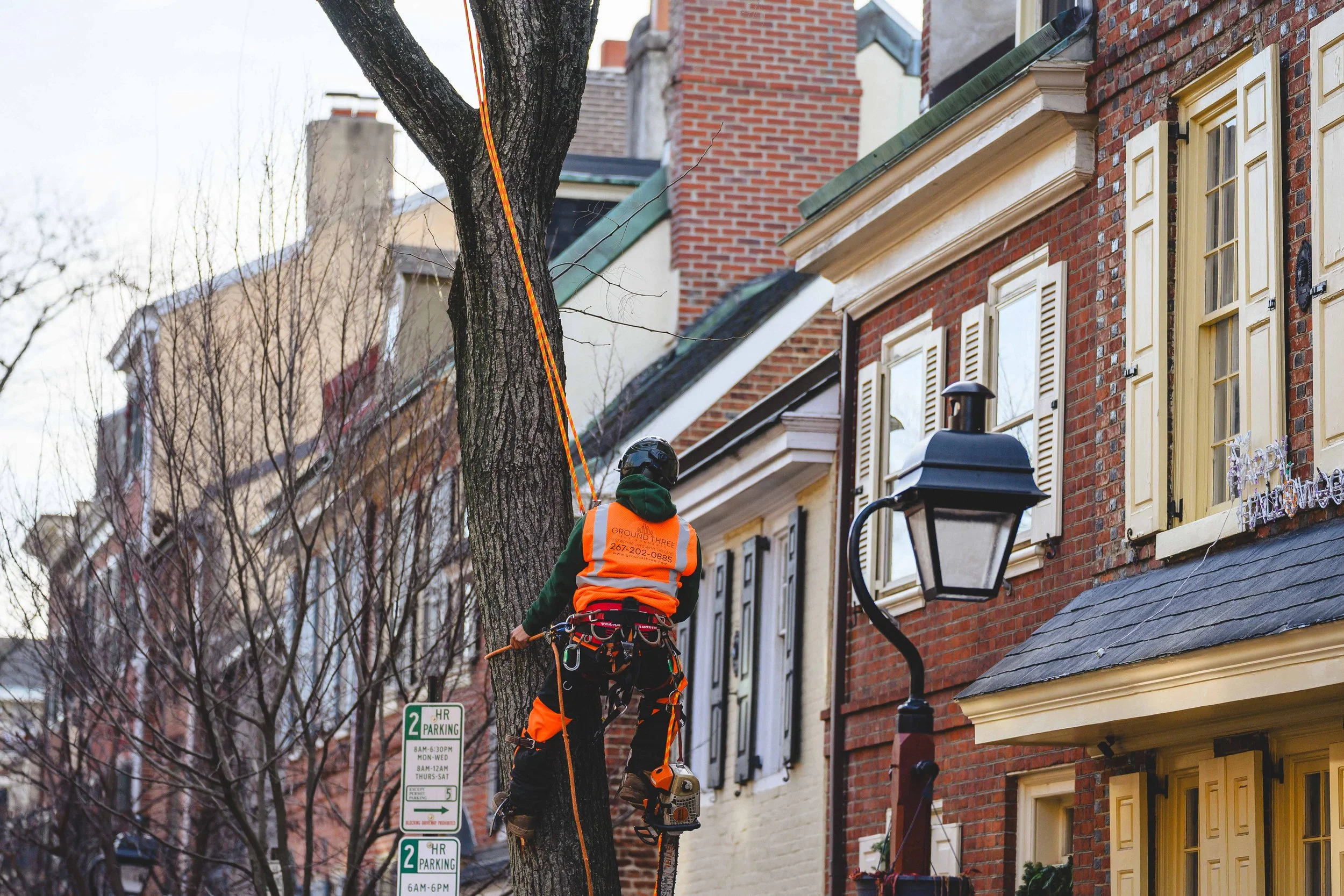Ground Three Philadelphia Tree Cutting-6.jpg