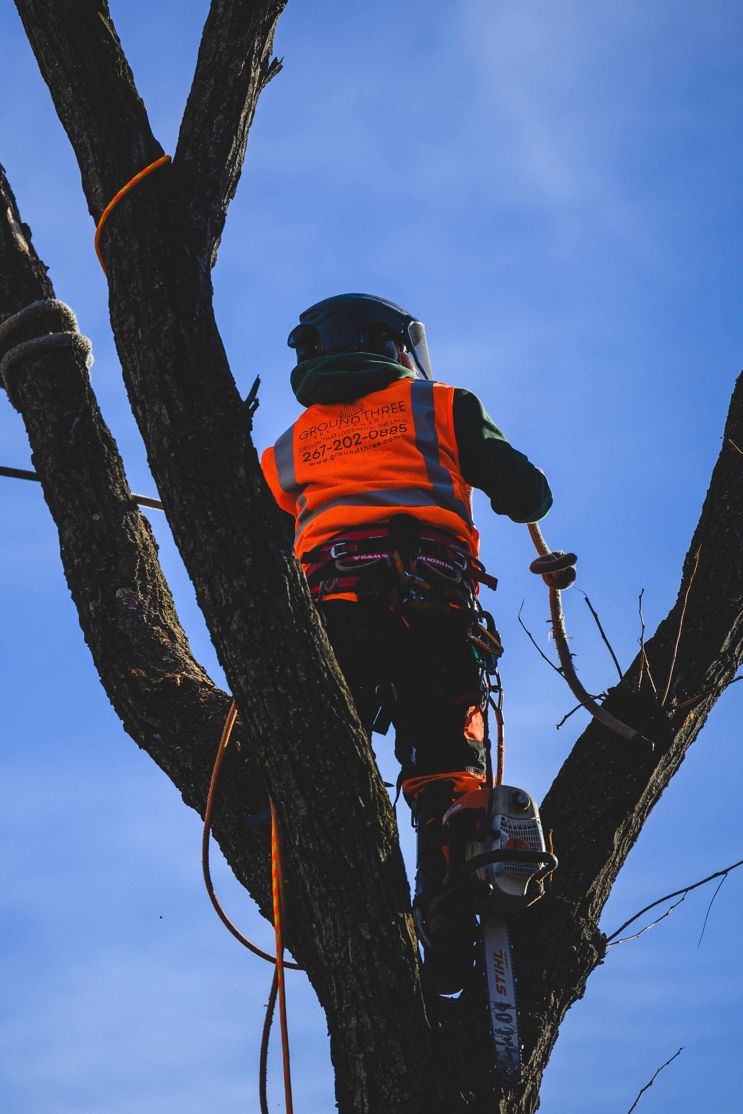 Ground Three Philadelphia Tree Cutting-78.jpg
