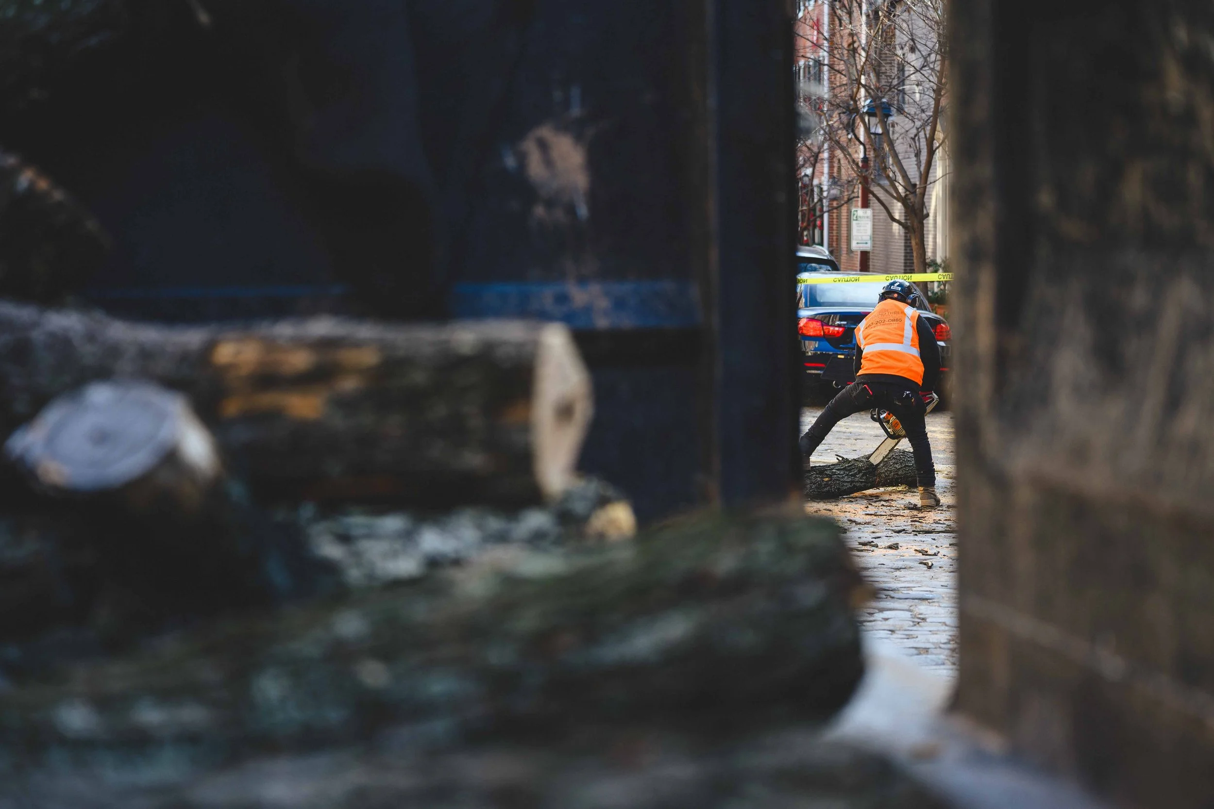 Ground Three Philadelphia Tree Cutting-101.jpg