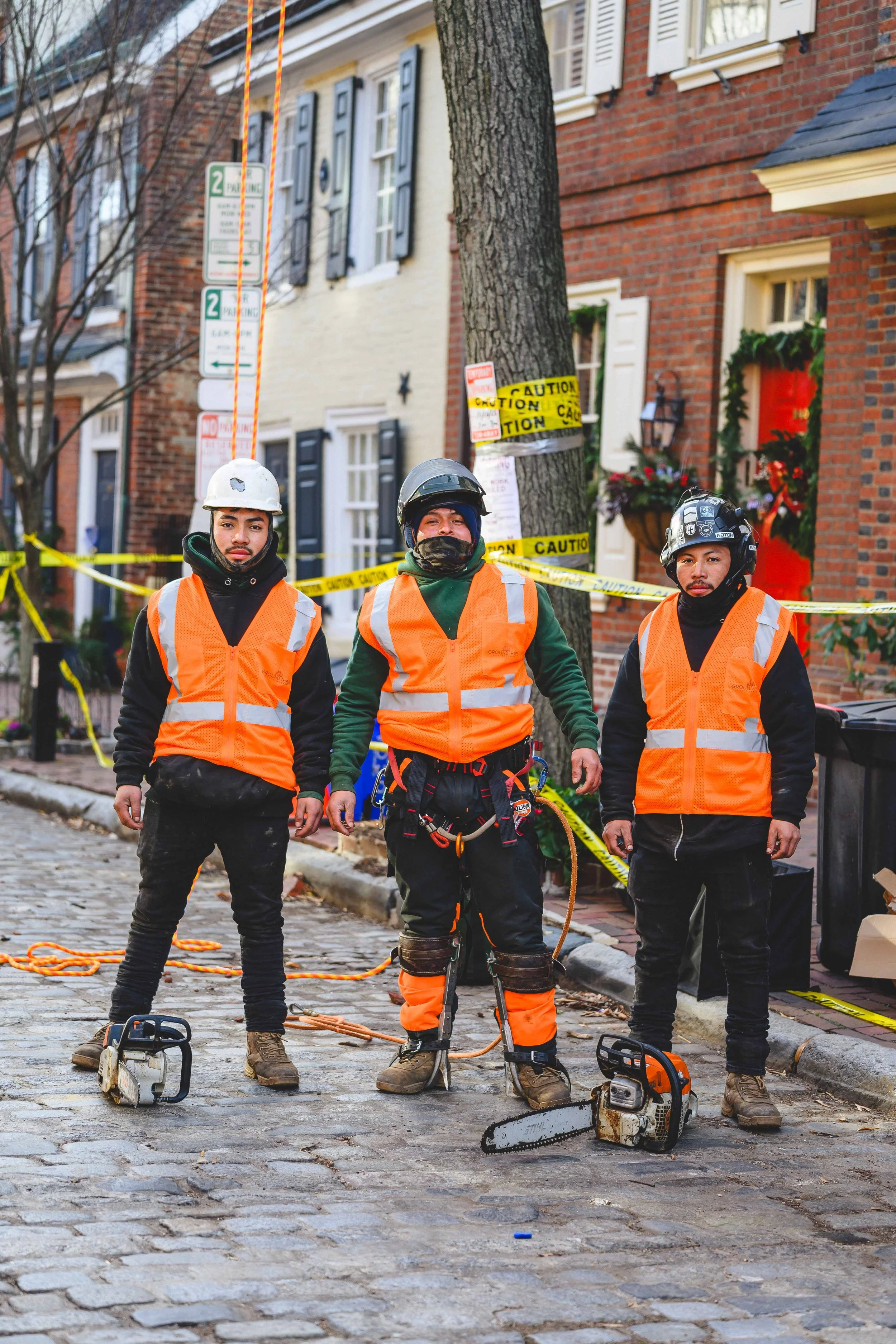 Ground Three Philadelphia Tree Cutting-2.jpg