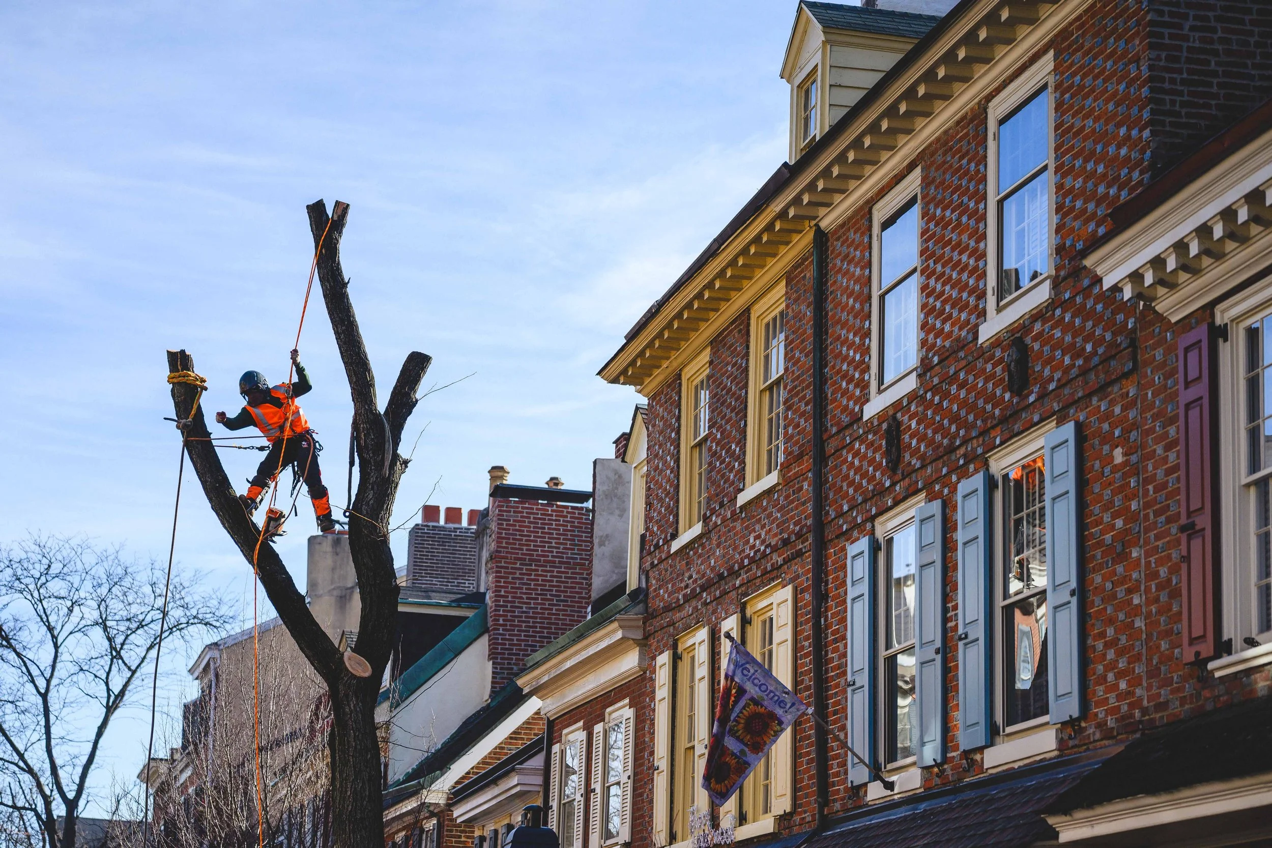 Ground Three Philadelphia Tree Cutting-99.jpg