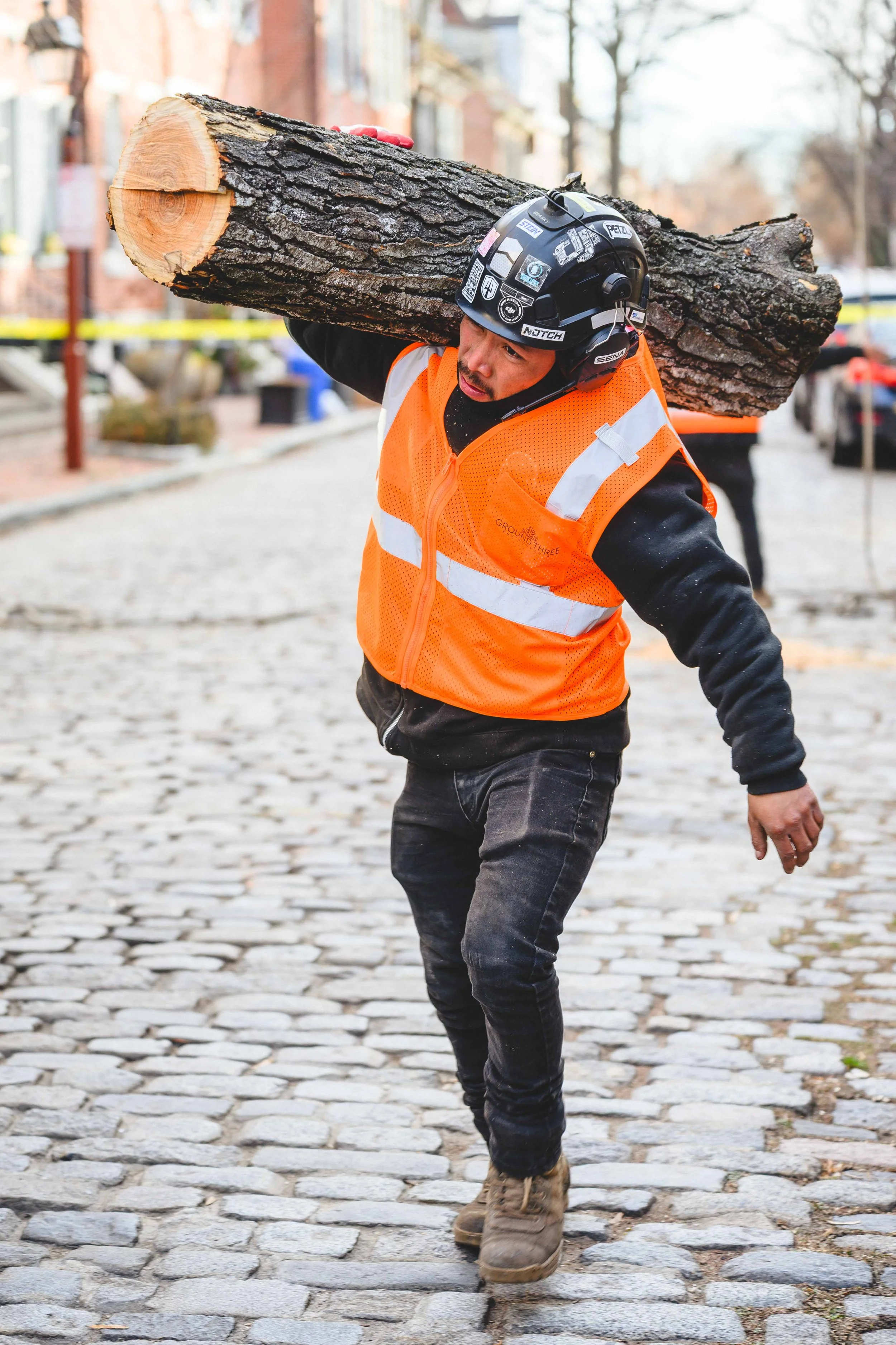 Ground Three Philadelphia Tree Cutting-33.jpg