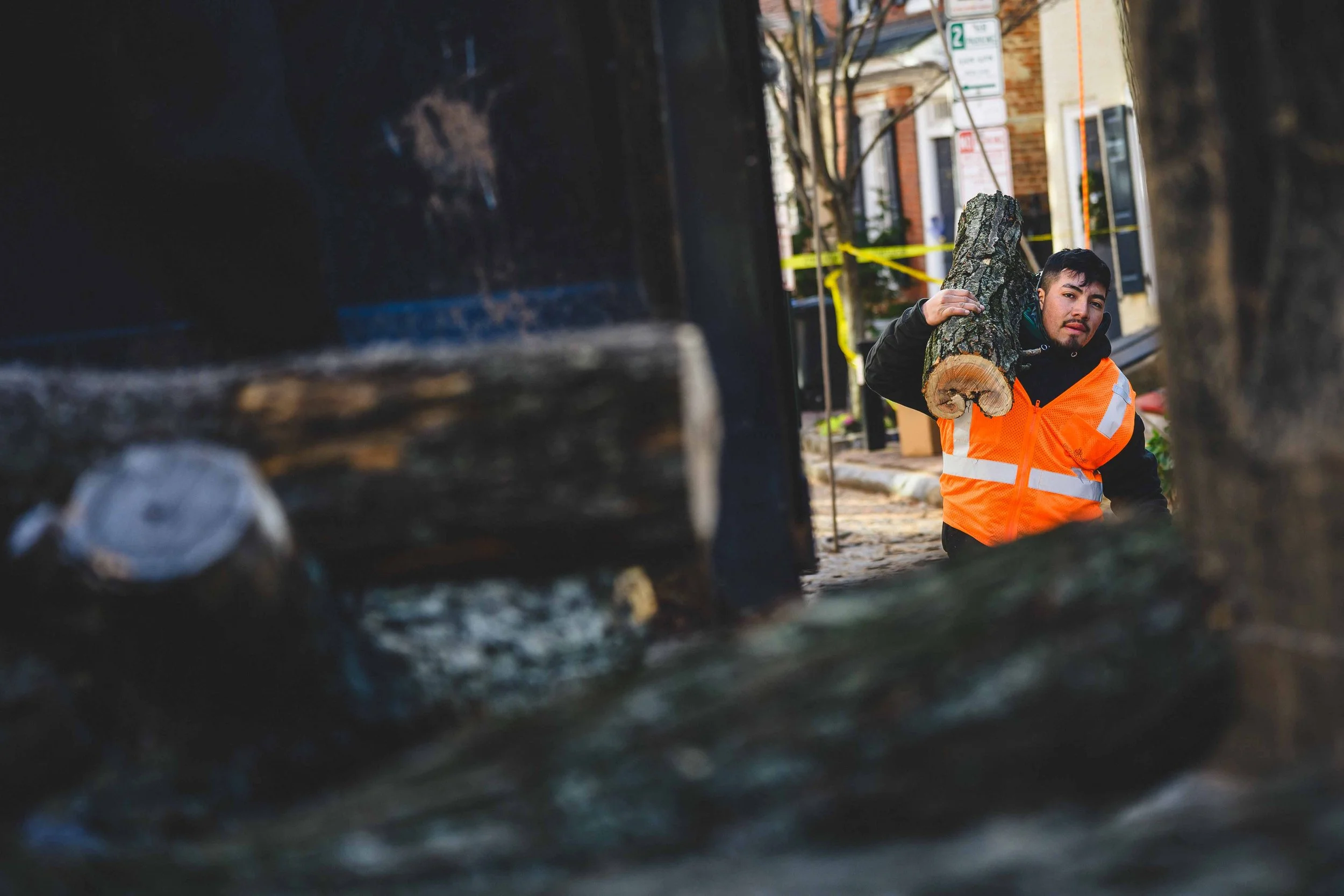 Ground Three Philadelphia Tree Cutting-102.jpg