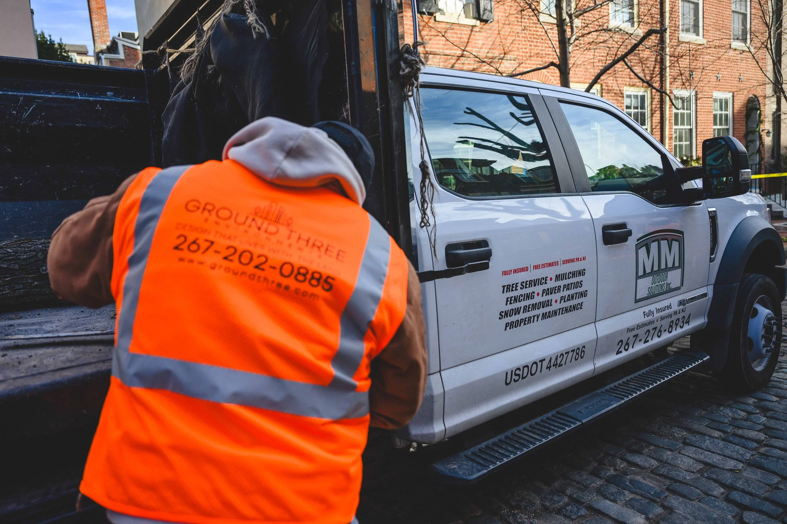 Ground Three Philadelphia Tree Cutting-41.jpg