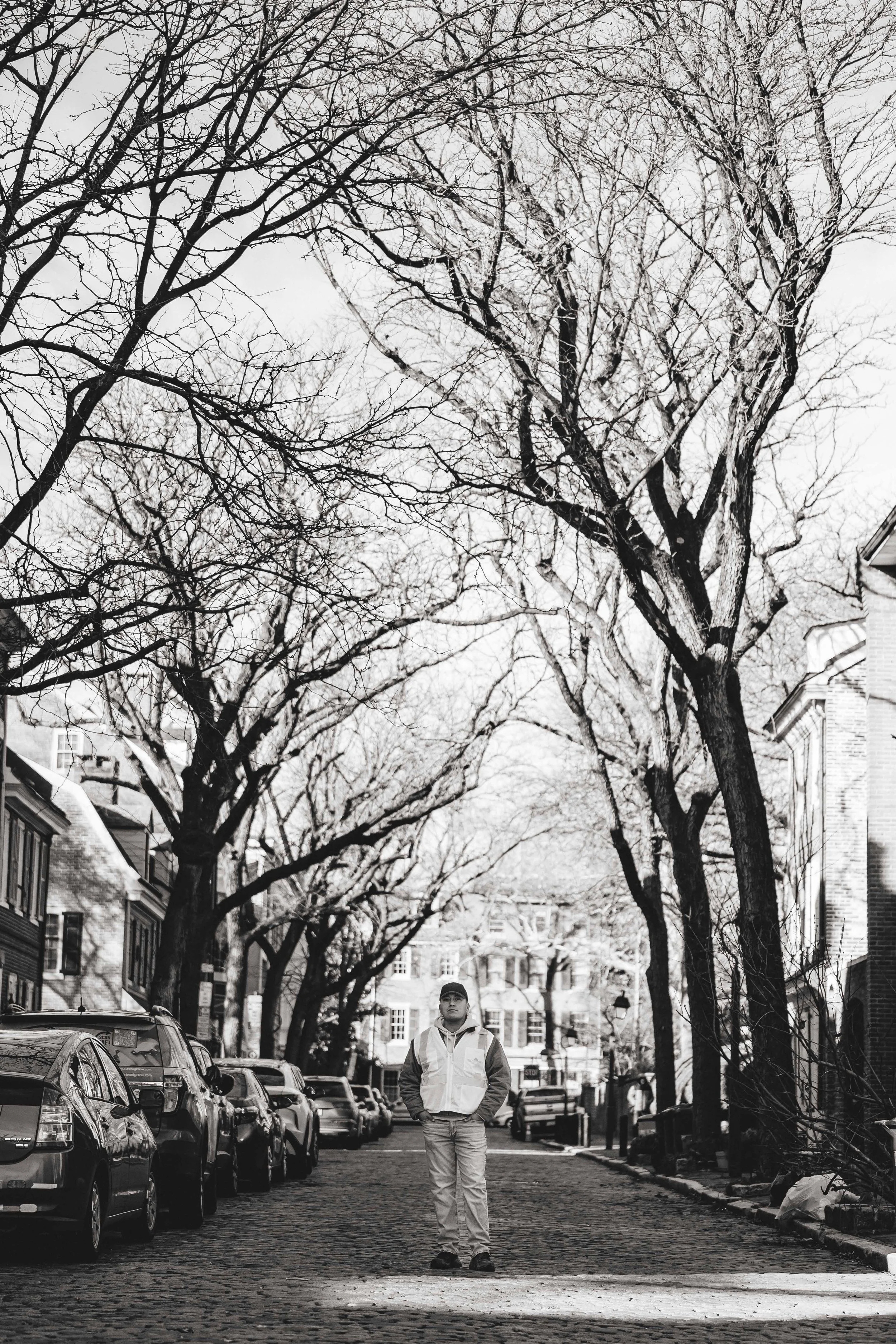 Ground Three Philadelphia Tree Cutting-70.jpg