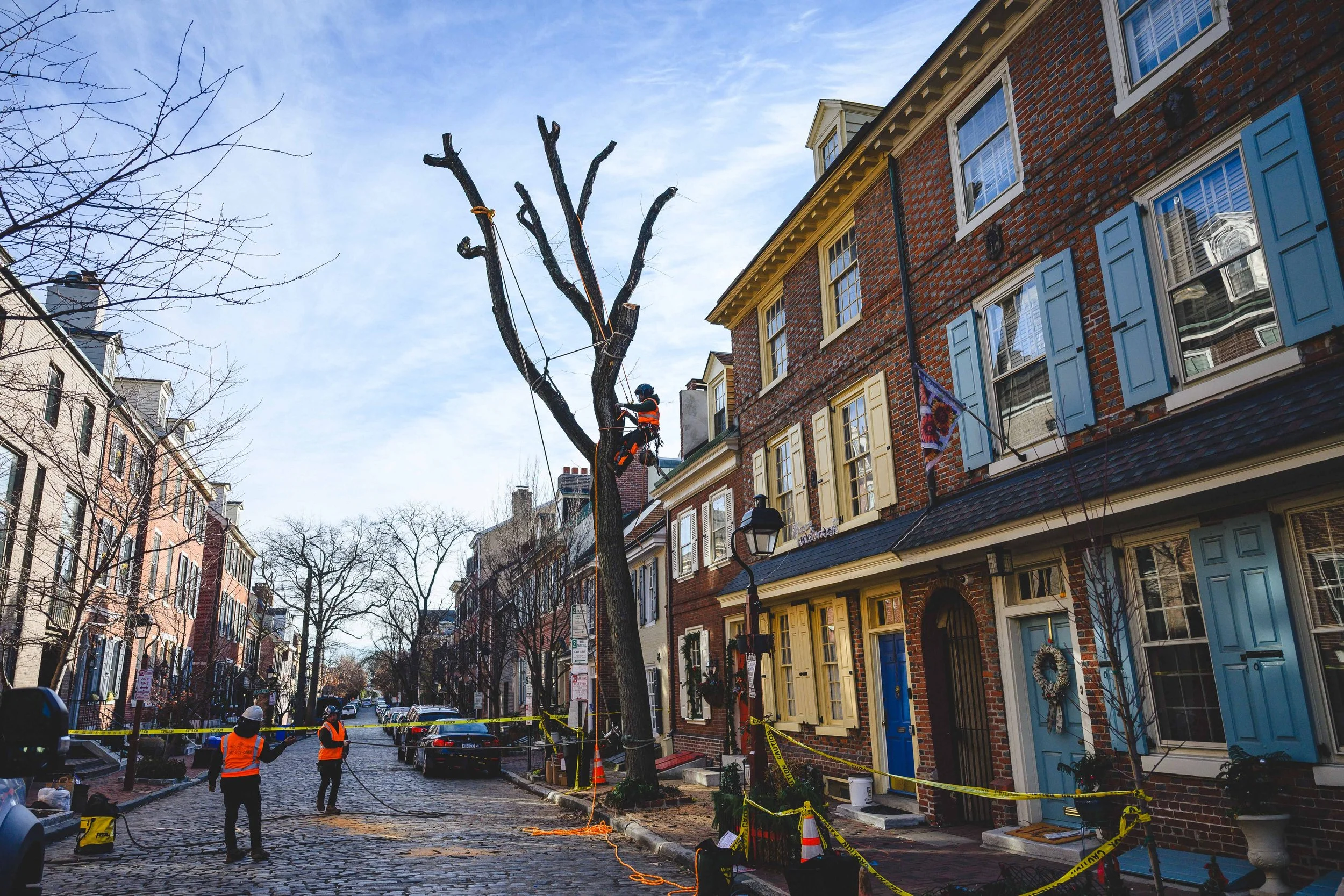 Ground Three Philadelphia Tree Cutting-55.jpg