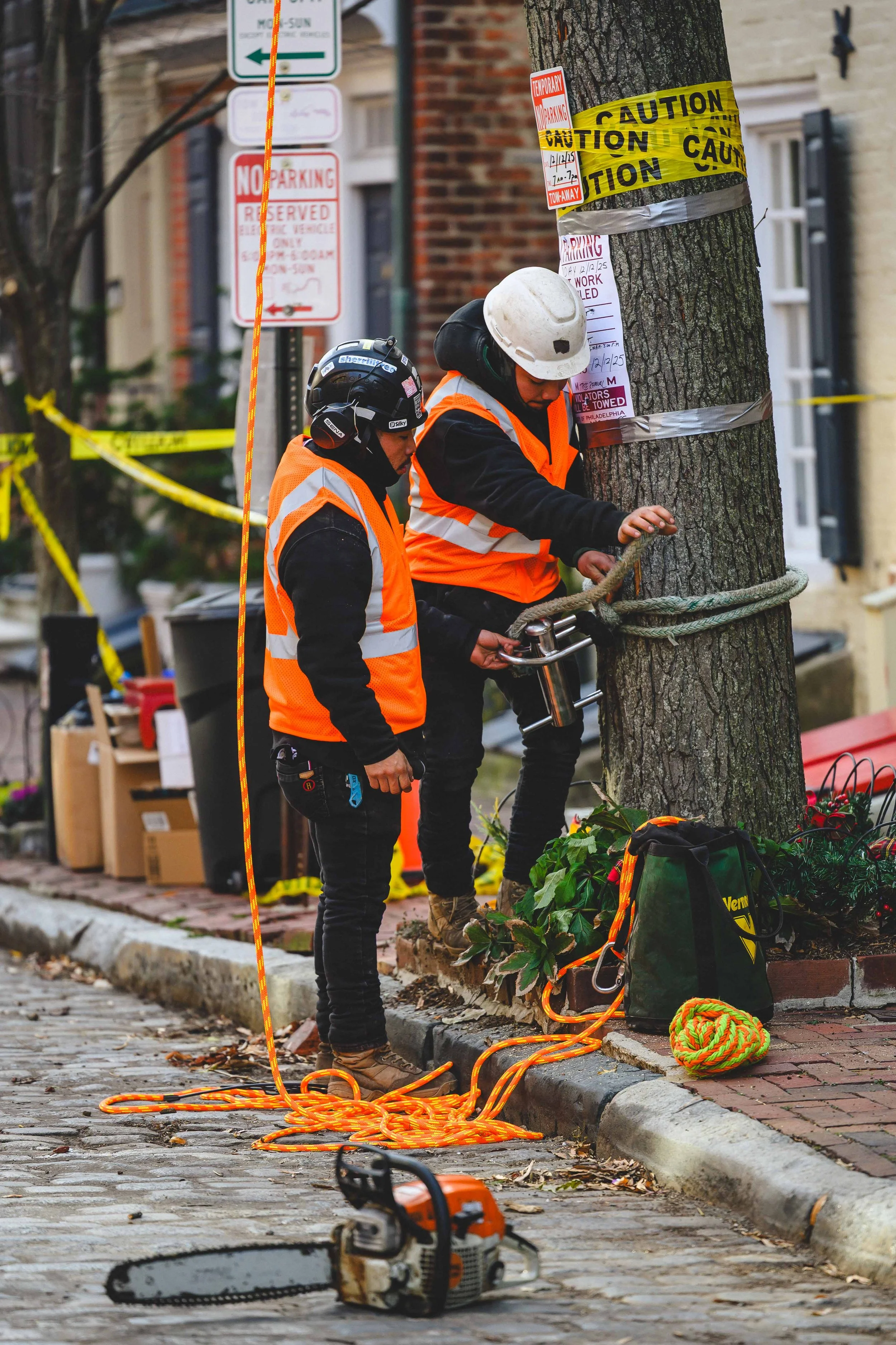 Ground Three Philadelphia Tree Cutting-8.jpg