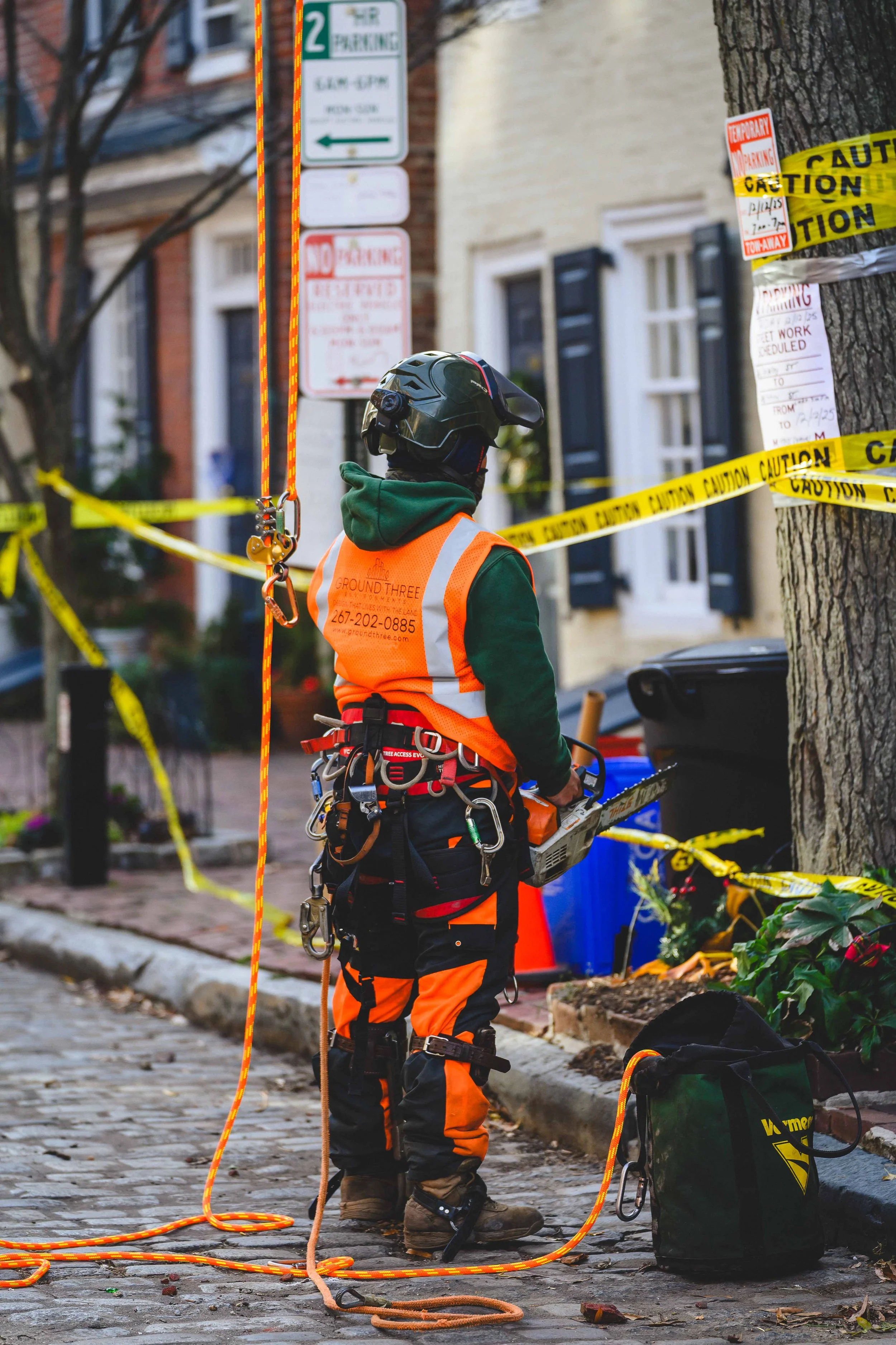 Ground Three Philadelphia Tree Cutting-3.jpg