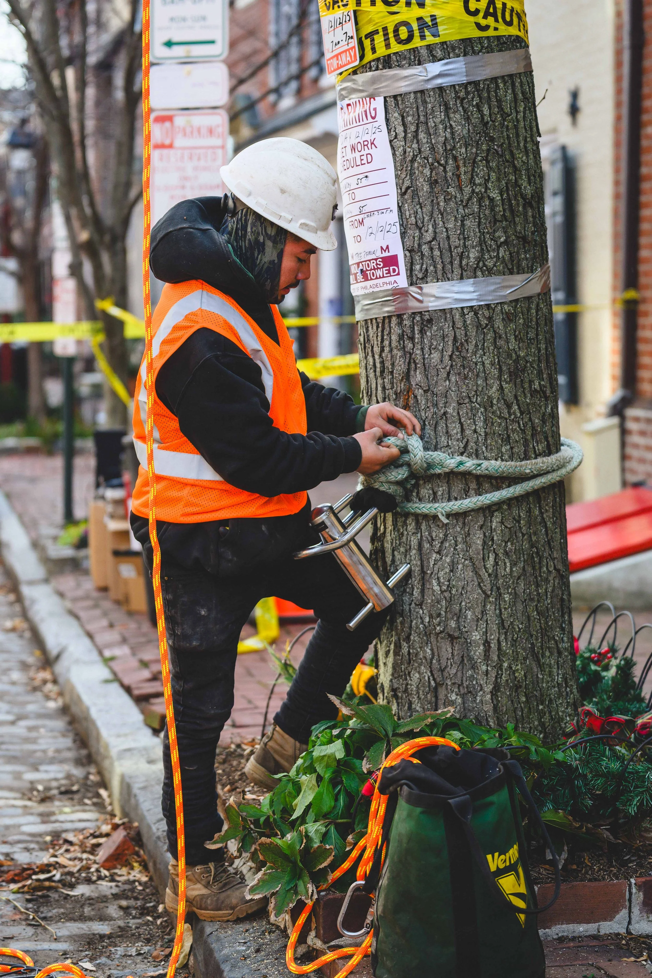 Ground Three Philadelphia Tree Cutting-9.jpg