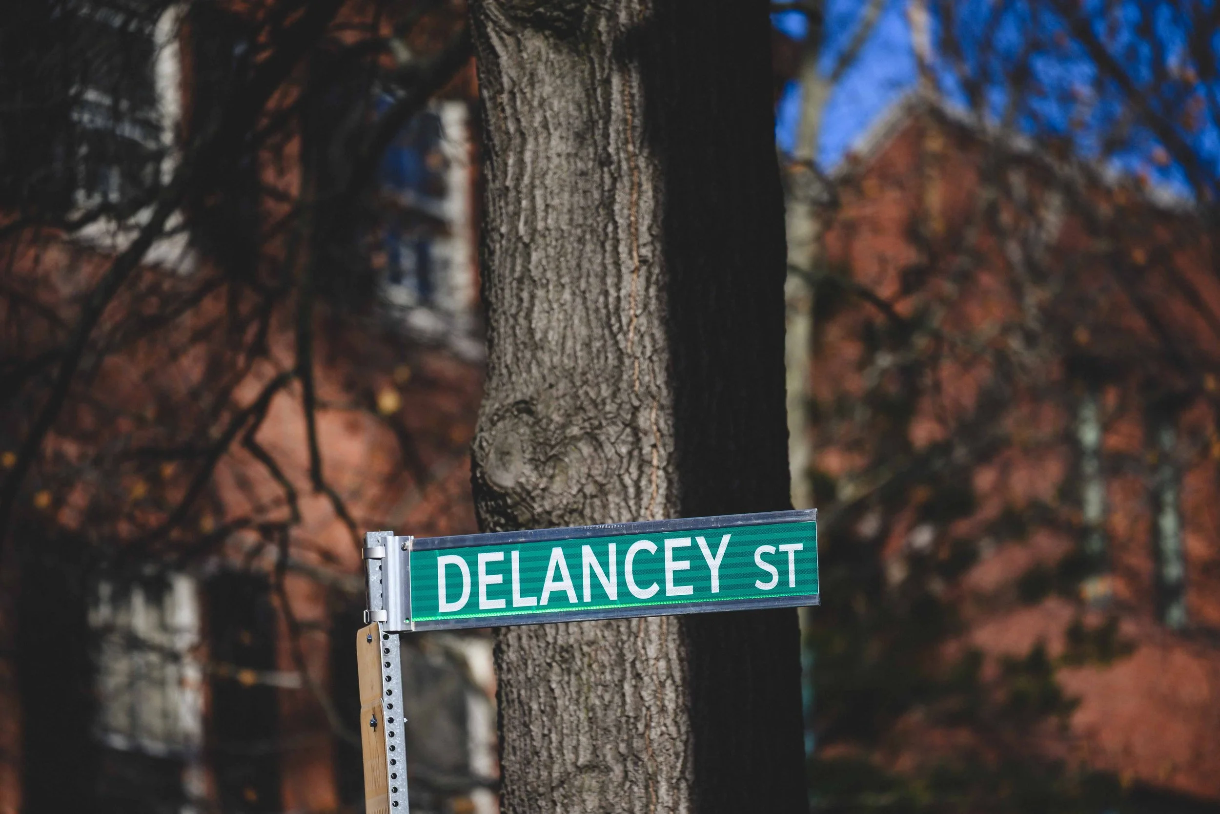 Old City Philadelphia Tree Cutting