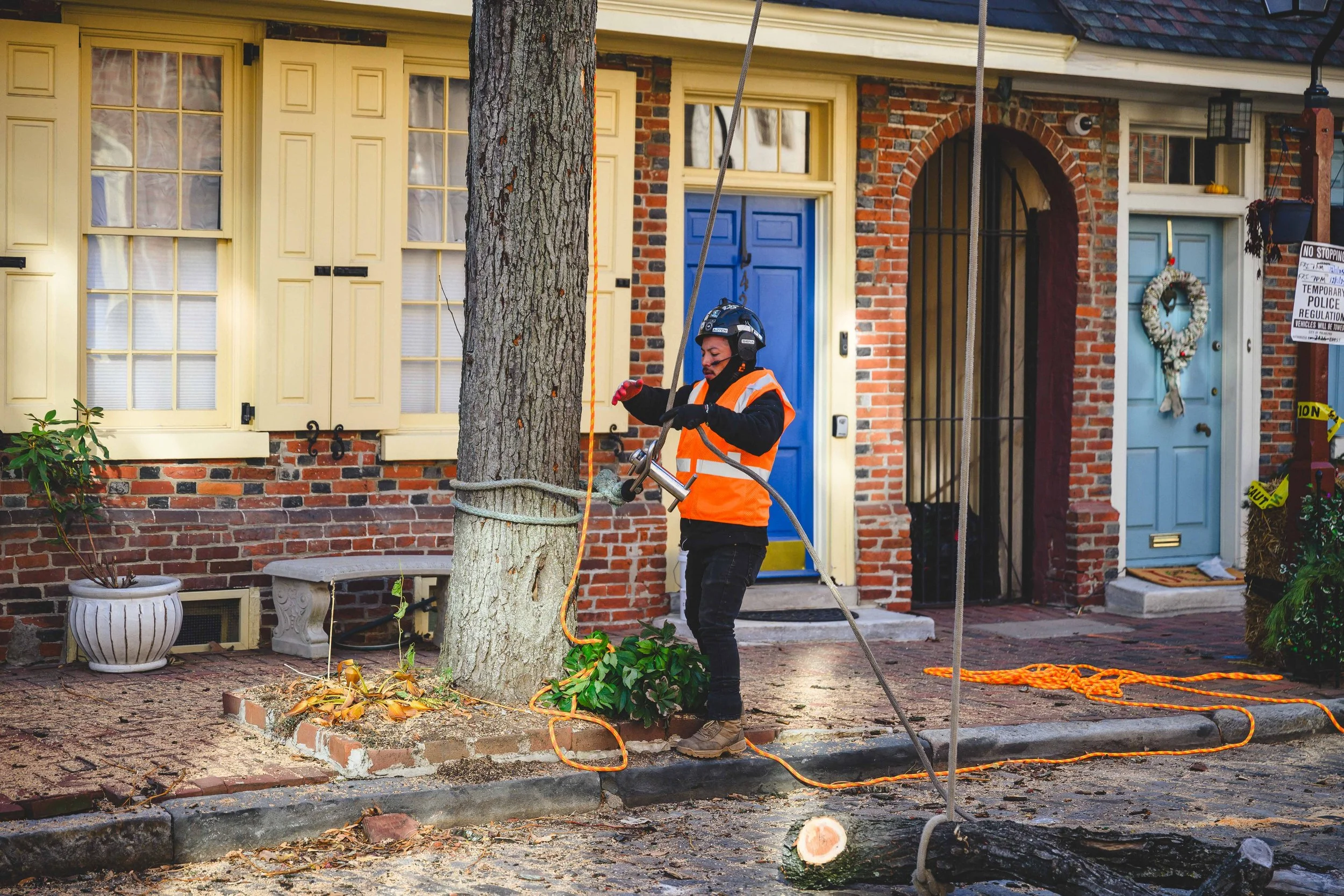 Ground Three Philadelphia Tree Cutting-97.jpg