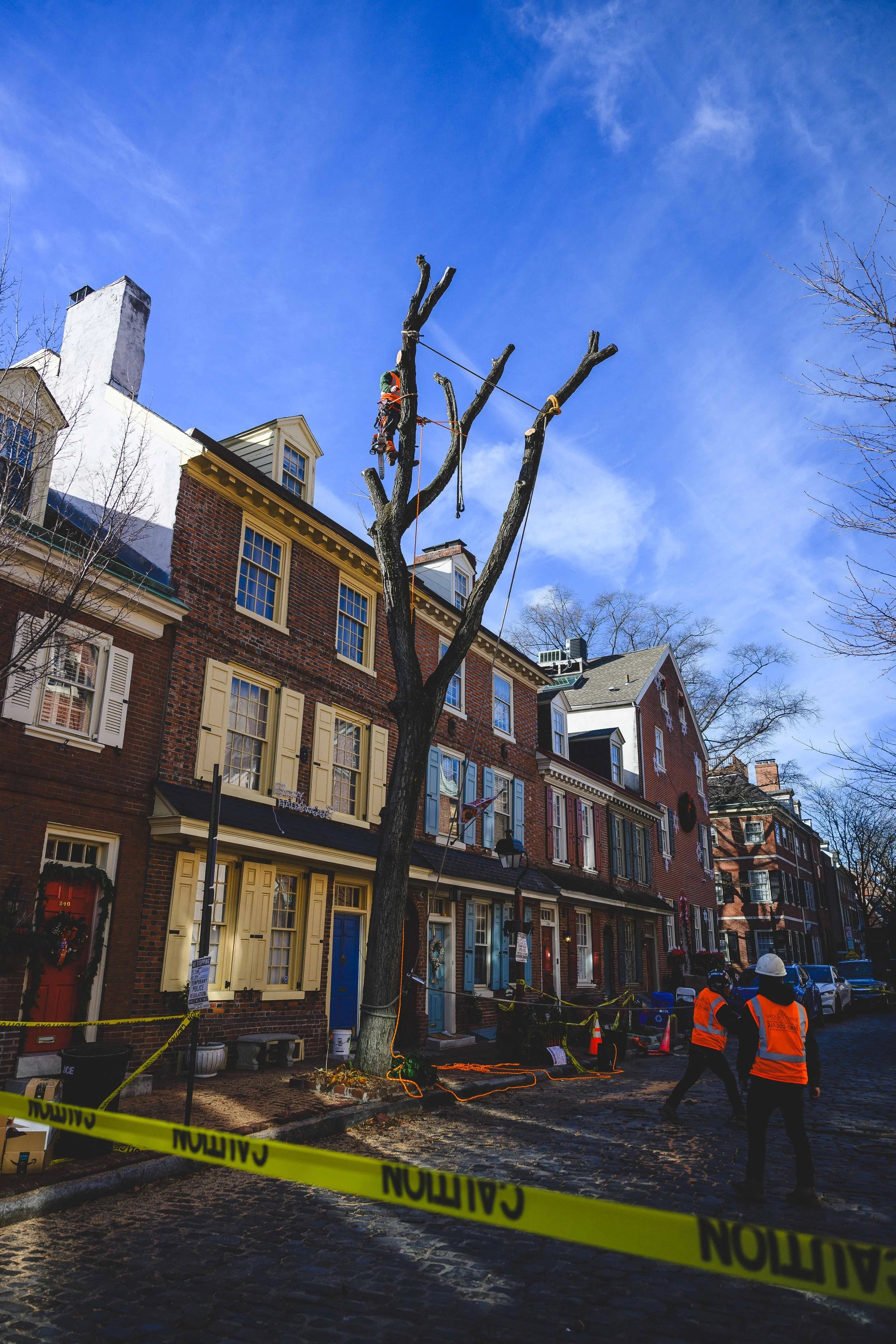 Ground Three Philadelphia Tree Cutting-93.jpg