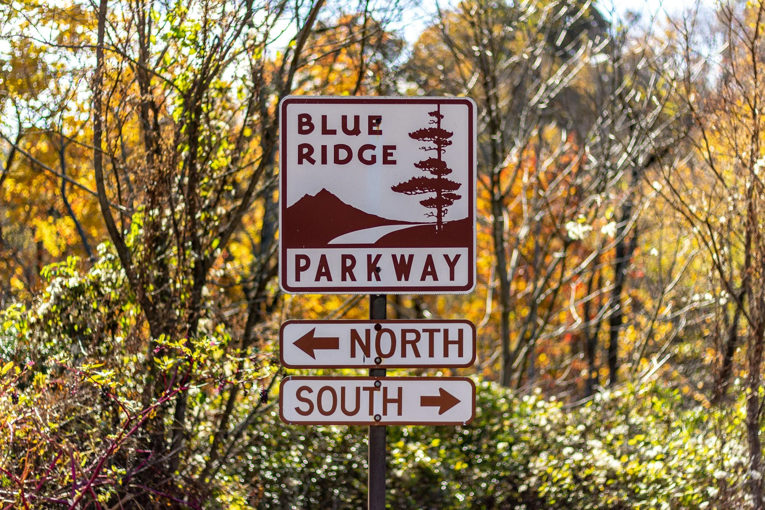 Shane Farthing &amp; Associates Selected to Lead Blue Ridge Parkway Regional Trails Assessment