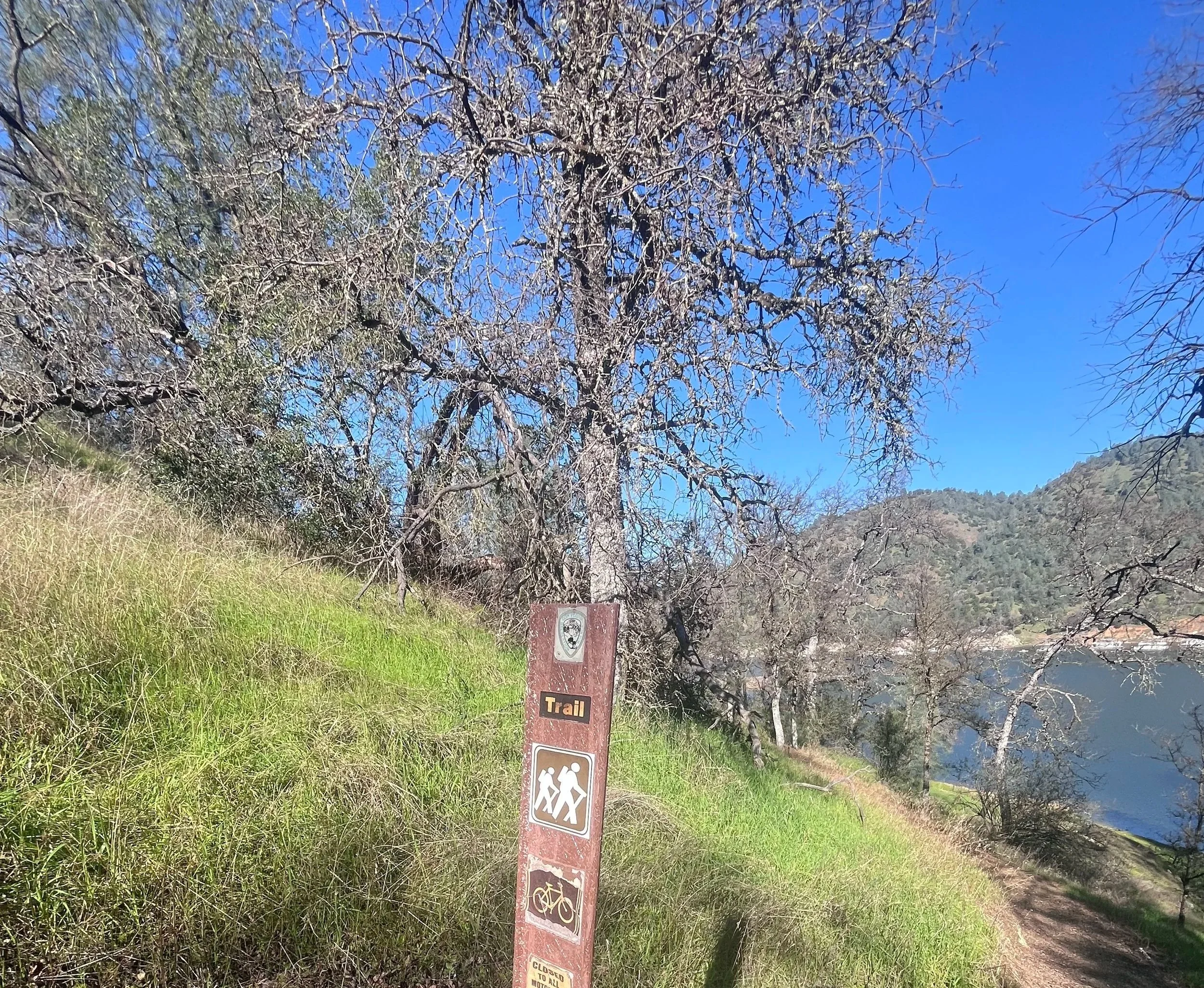 Shane Farthing &amp; Associates  Selected to Lead Regional Economic Development Strategy for Central Sierra Bicycle Tourism