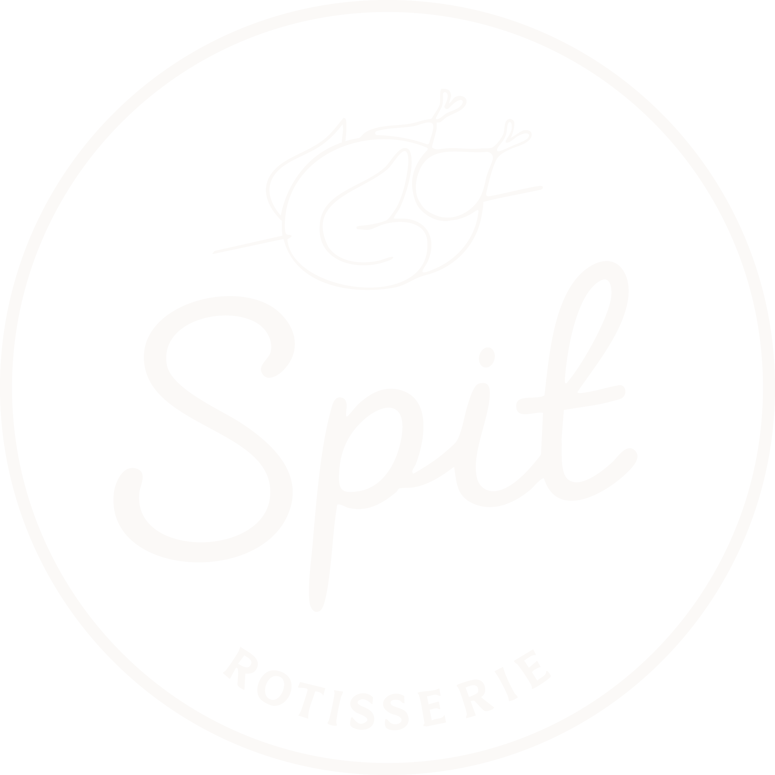 Spit Rotisserie logo on dark baground - outline, featuring a stylized chicken available in South East London