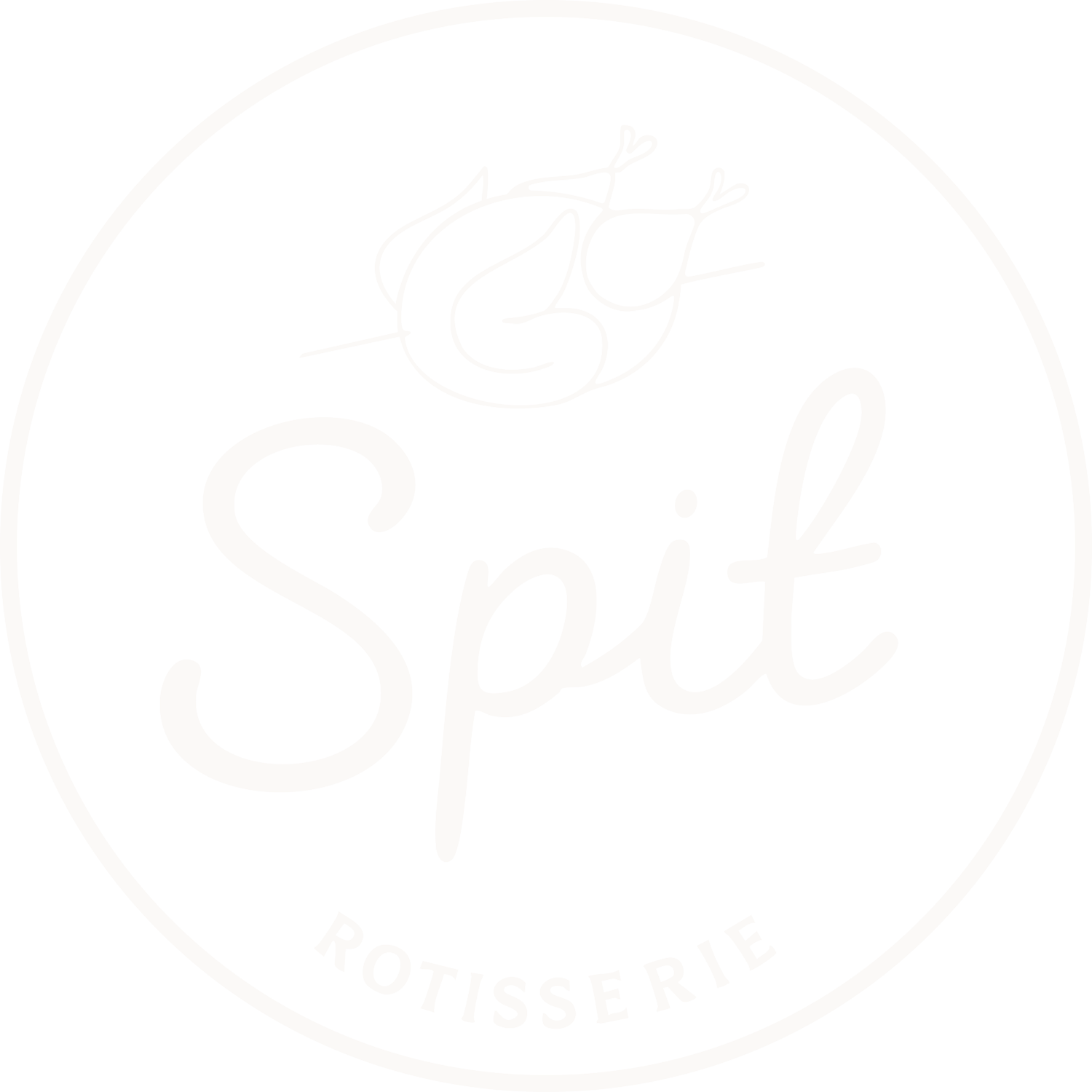 Spit Rotisserie