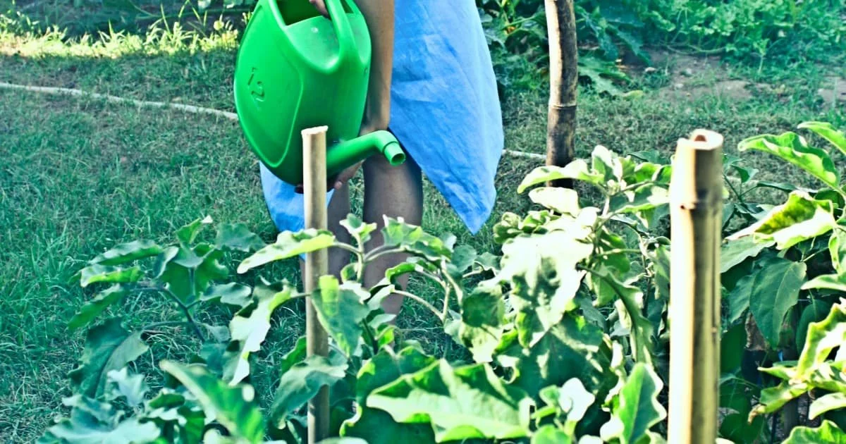 Cómo mantener tu jardín en perfectas condiciones durante todo el año
