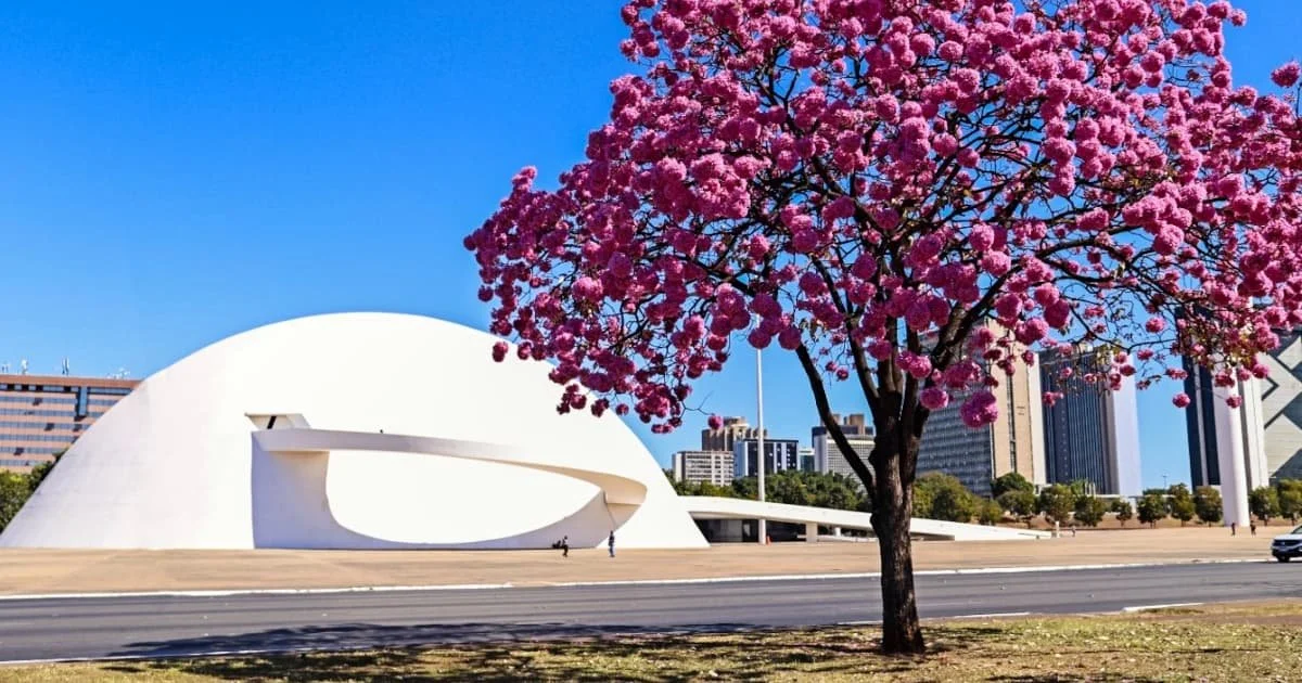 Complejo Cultural de la República João Herculino